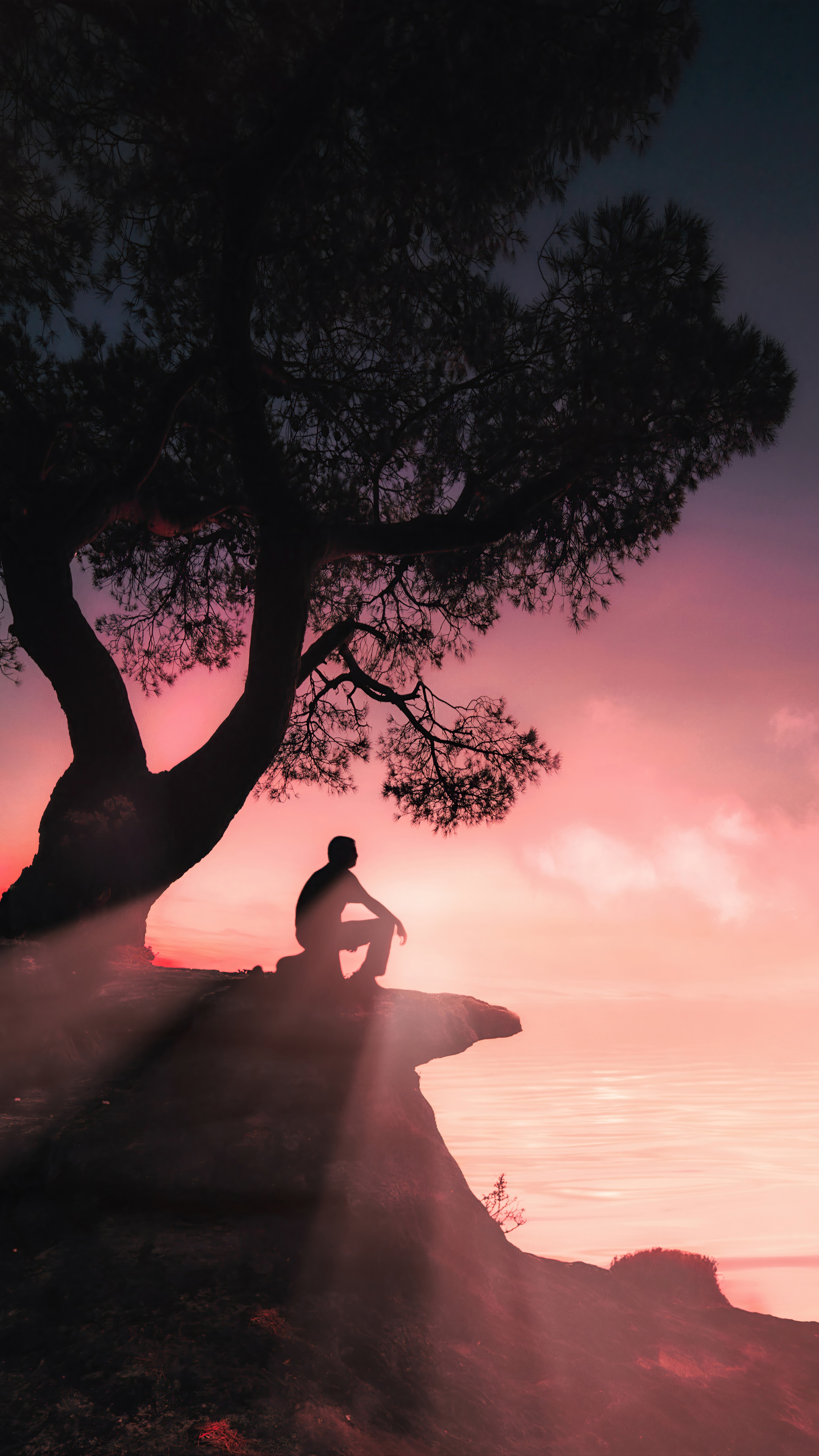 Silhouette of a person sitting under a tree at sunset HD Phone Wallpaper