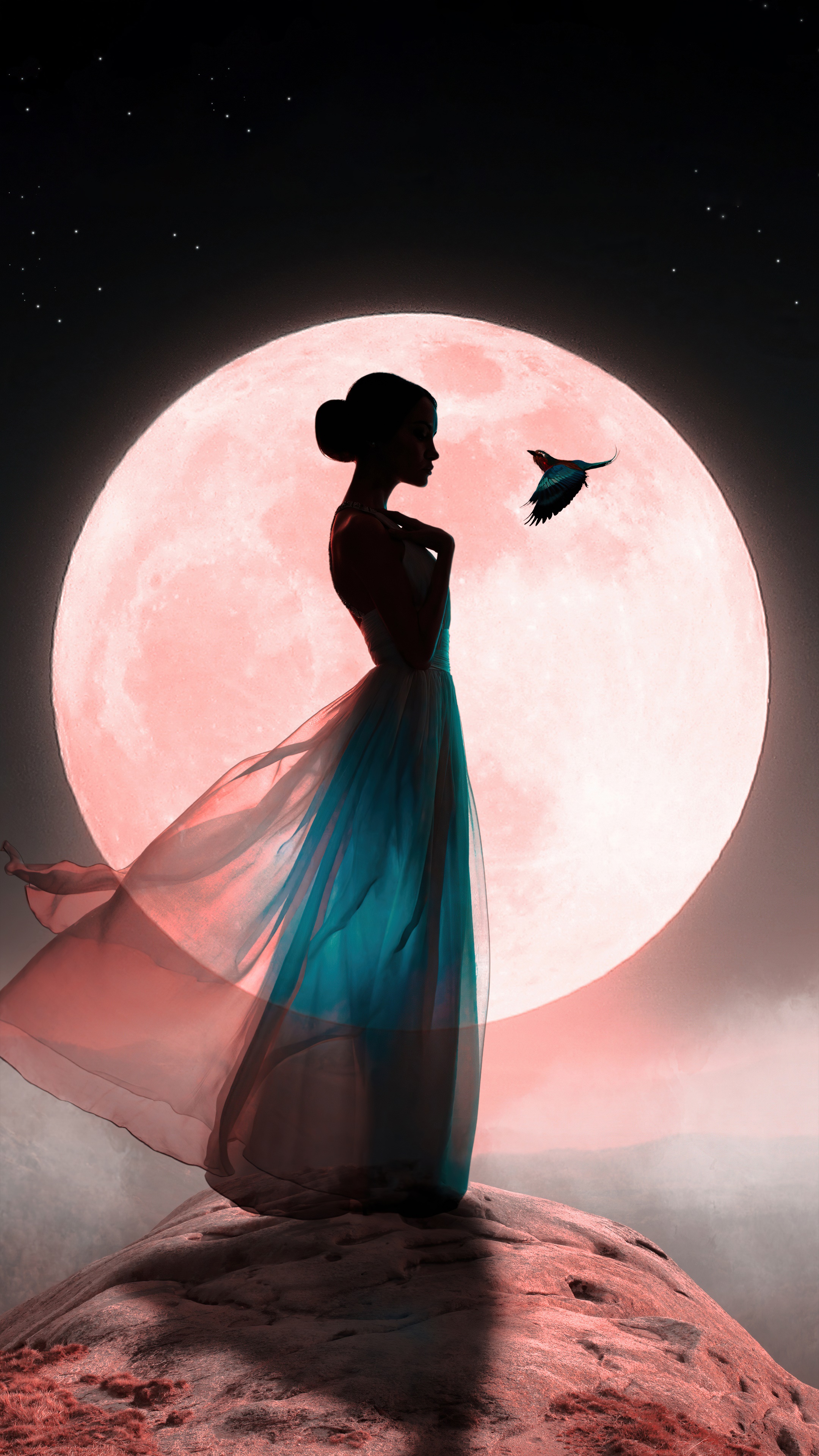 Silhouette of a woman and bird against a large moon HD Phone Wallpaper