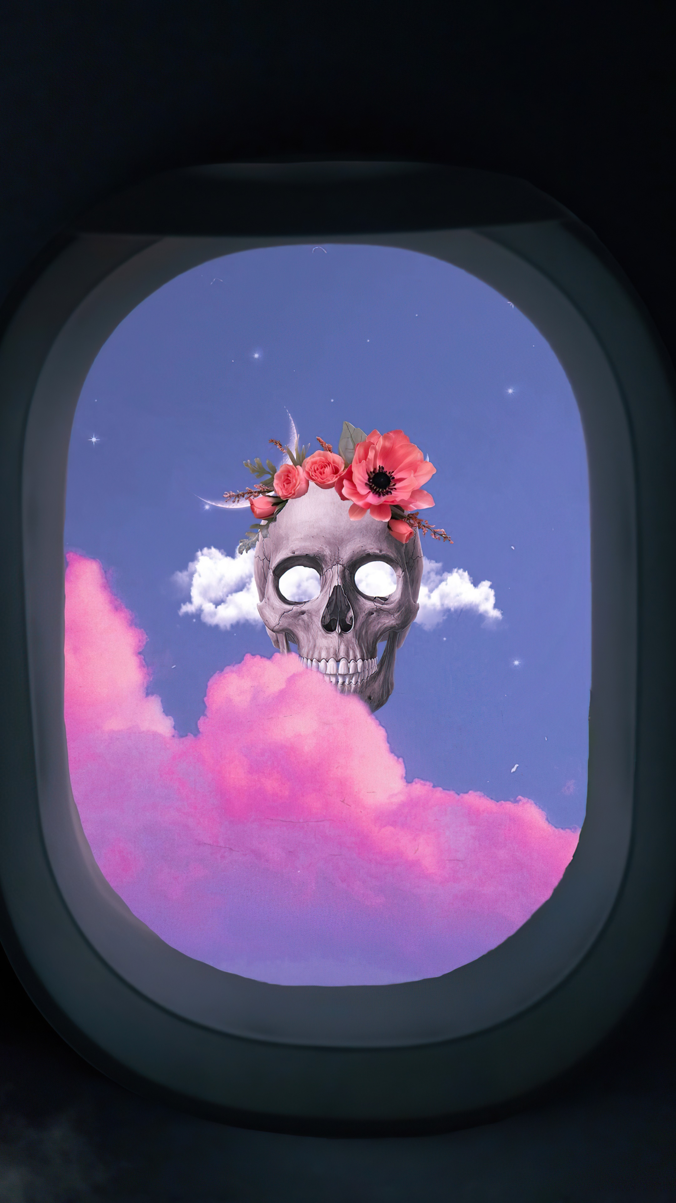 Skull with Flowers in Airplane Window HD Phone Wallpaper