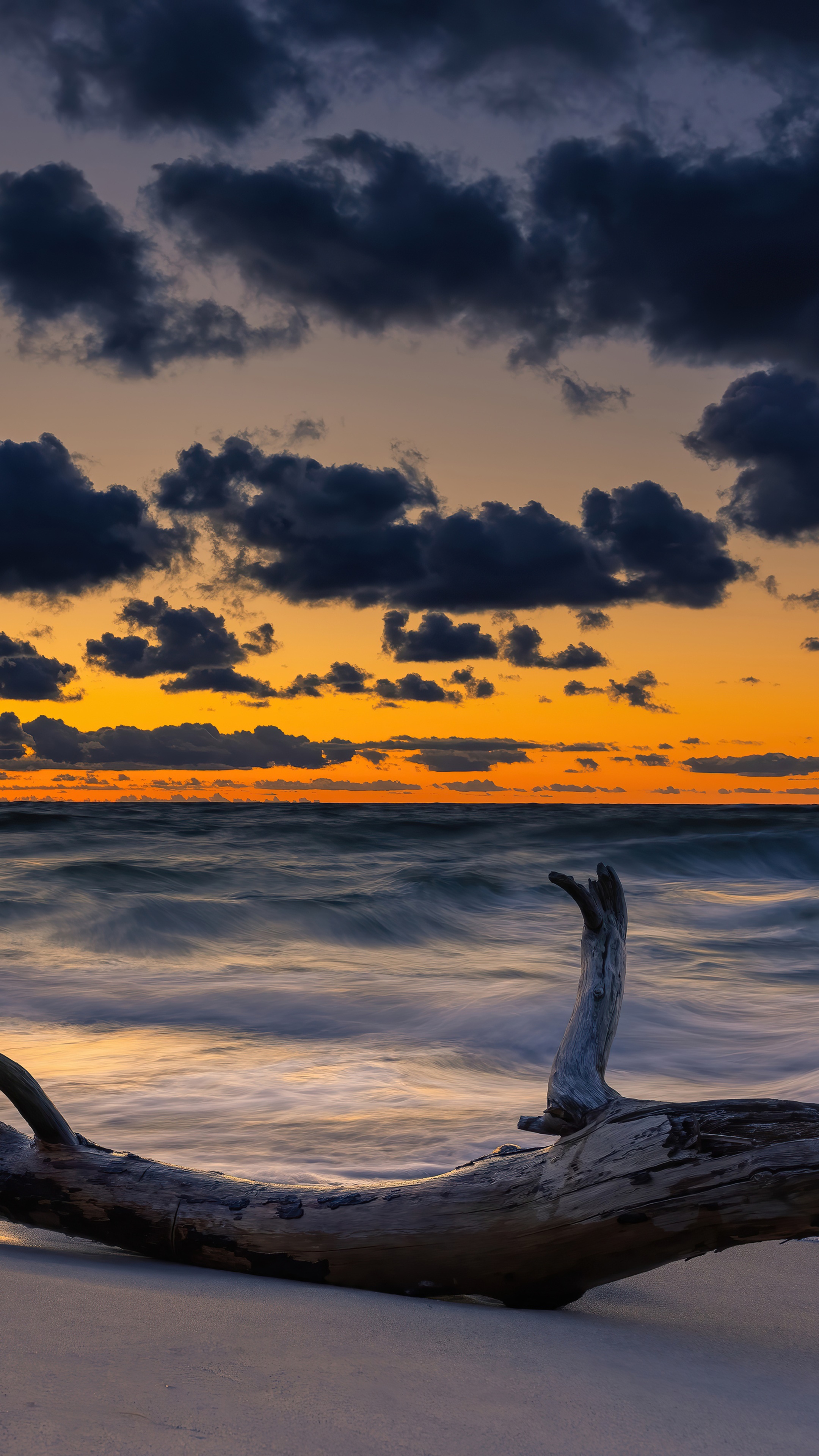 Driftwood on a beach at sunset with dark clouds HD Phone Wallpaper