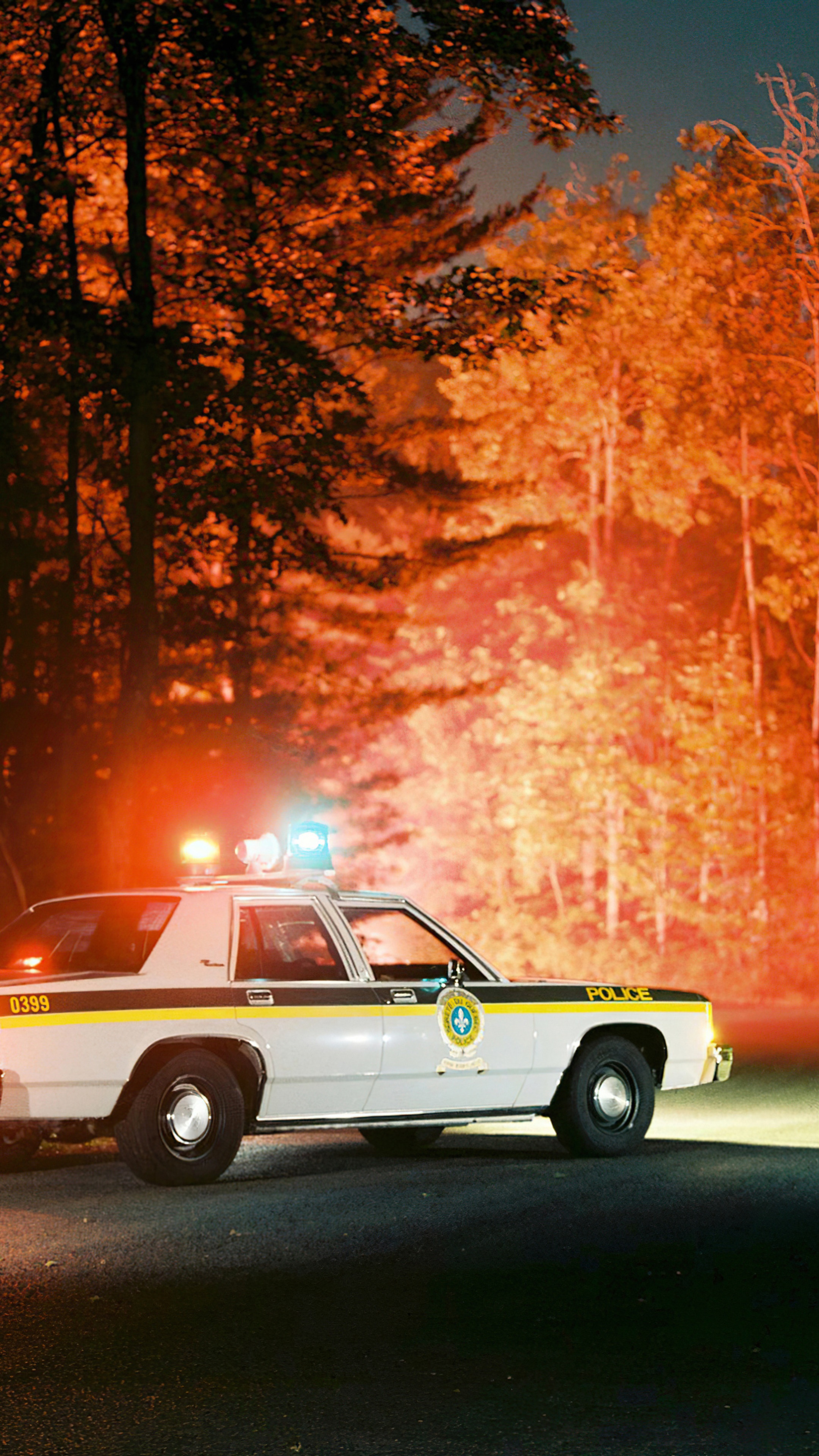 Ford Police Car with Emergency Lights in Forest HD Phone Wallpaper