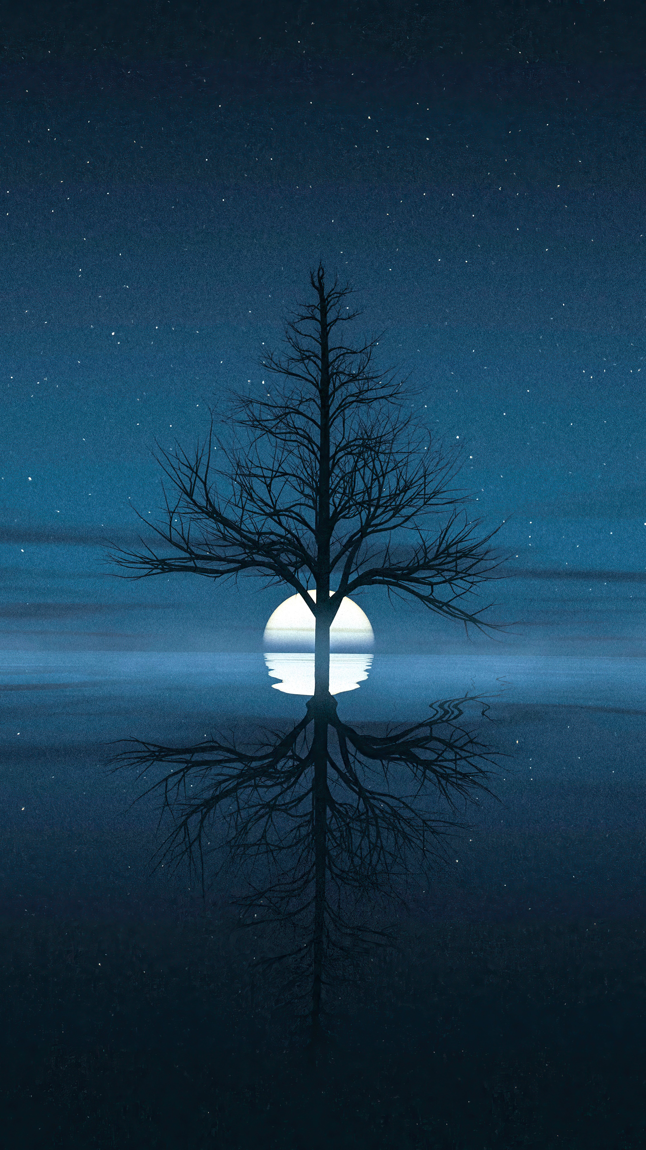 Bare tree reflecting in water under starry night sky HD Phone Wallpaper