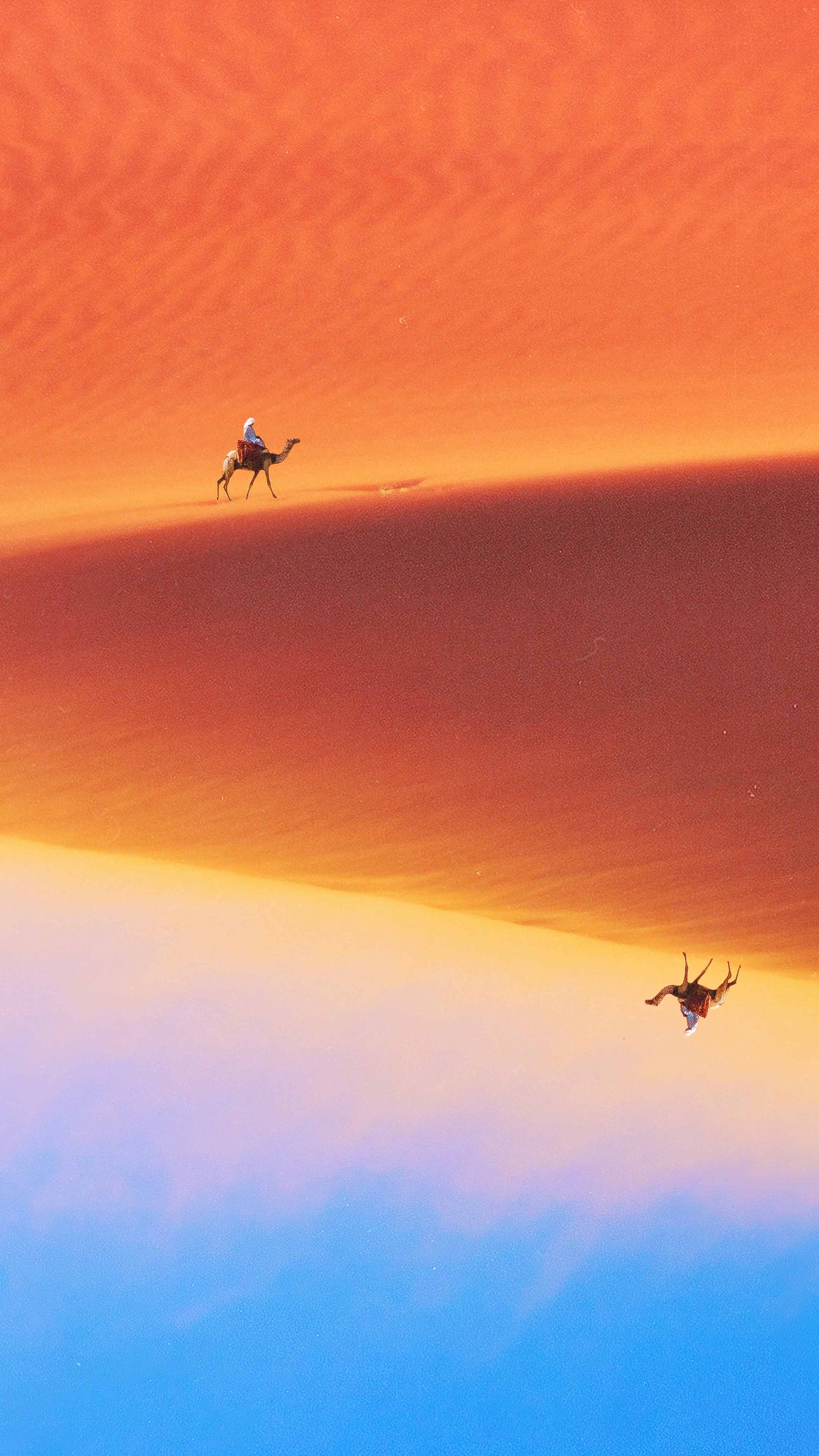 Camel caravan in the desert 4K HD Phone Wallpaper