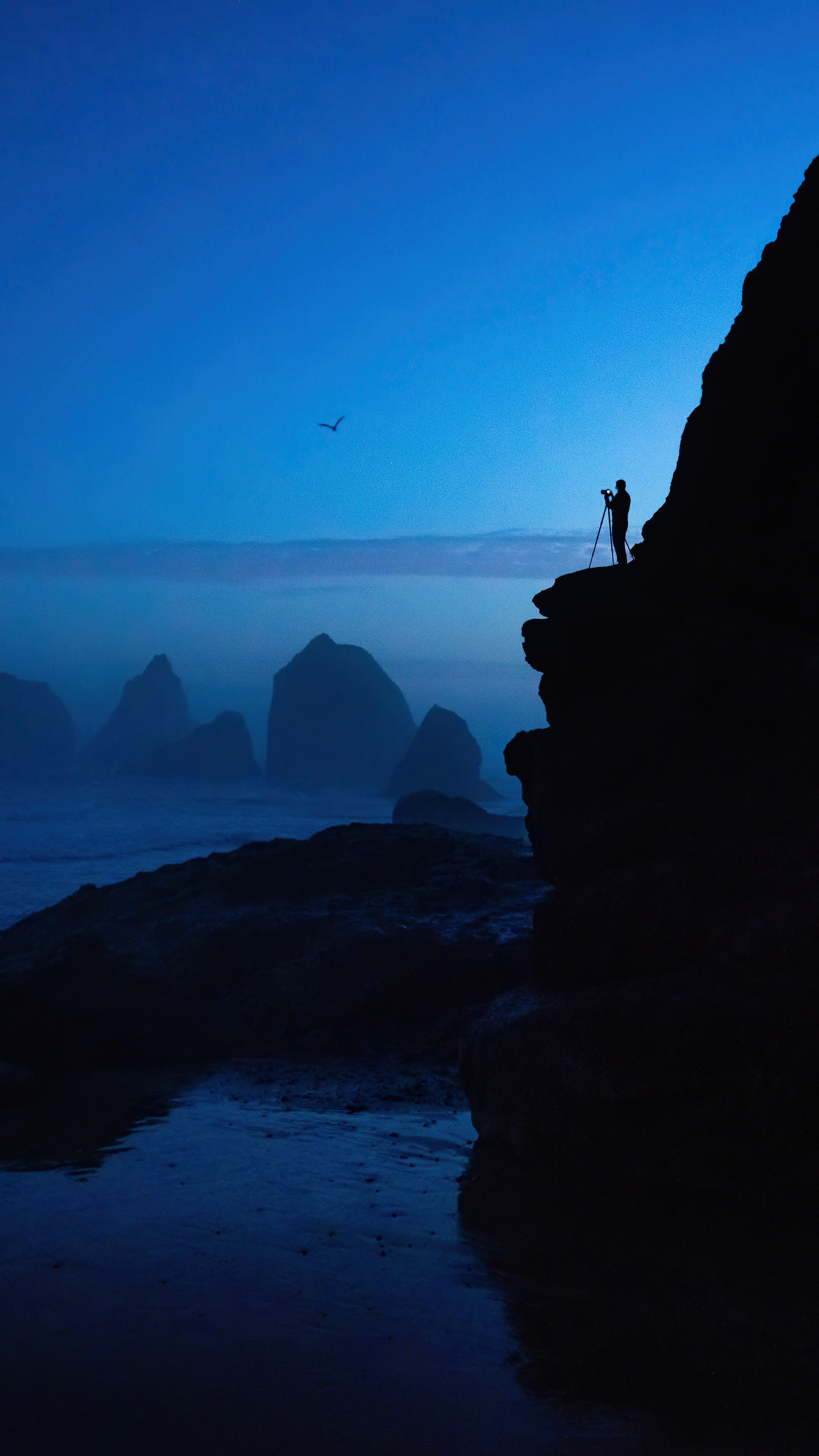 Photographer on cliff overlooking ocean at dusk HD Phone Wallpaper