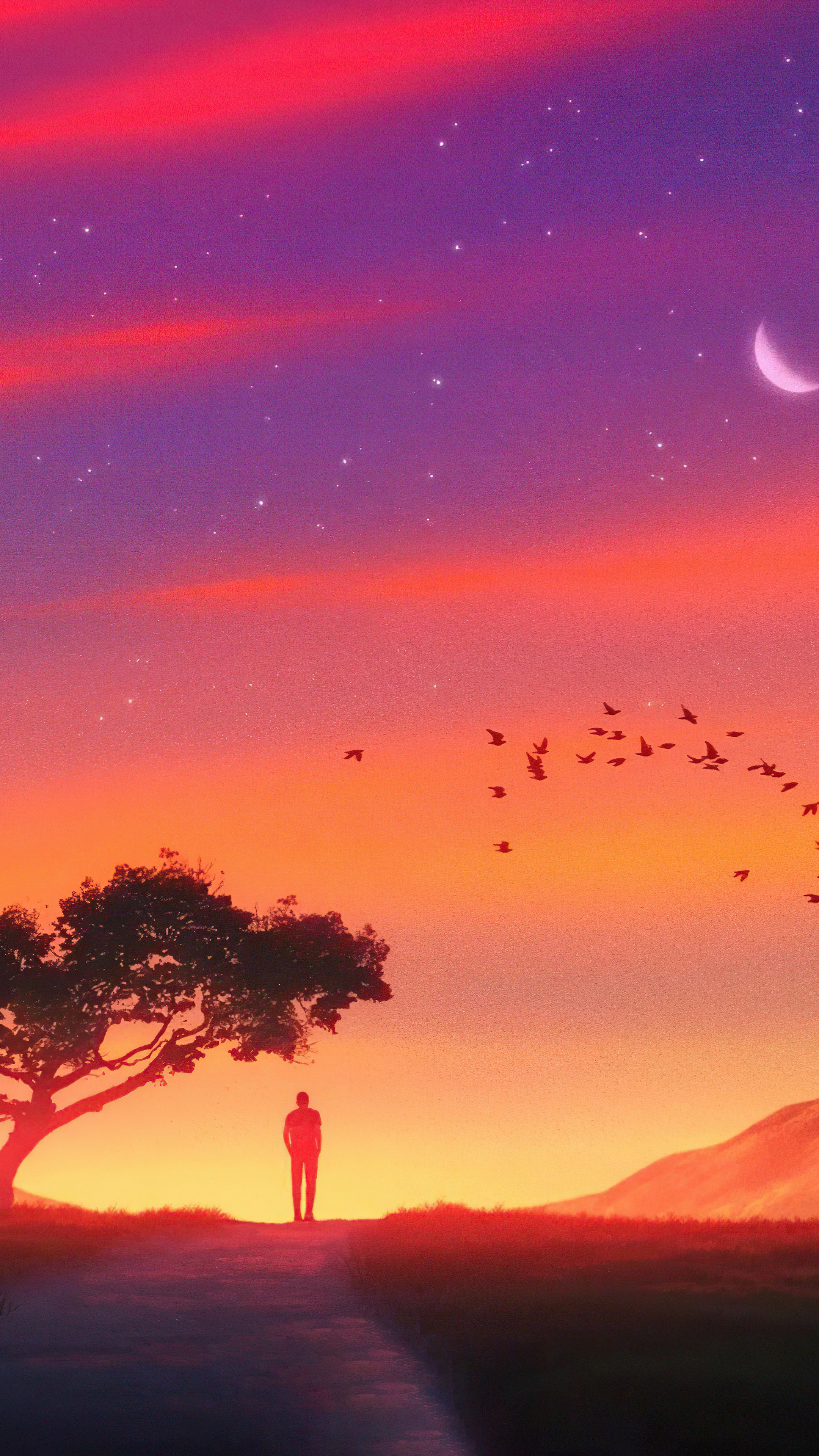 Man standing under a tree at sunset with birds flying HD Phone Wallpaper