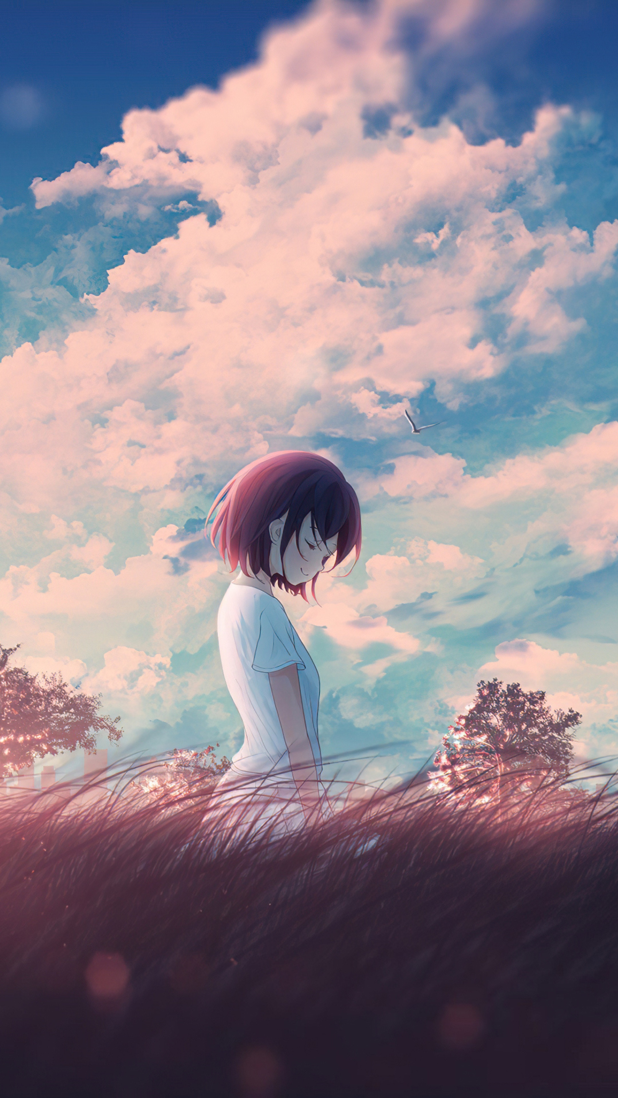 Anime girl in a field of grass HD Phone Wallpaper