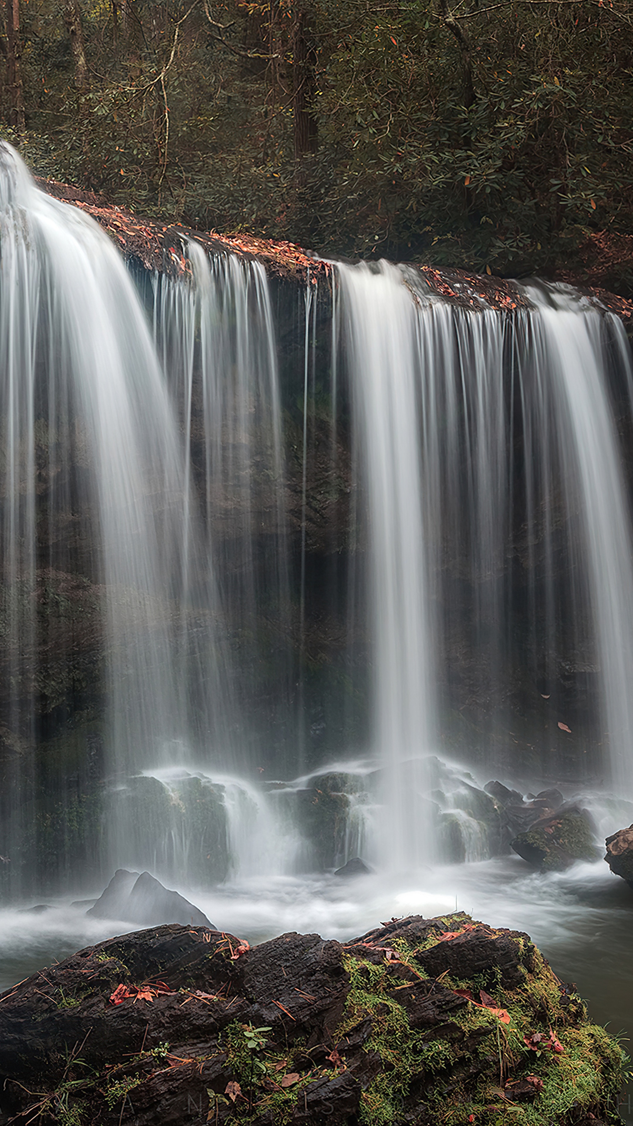 Waterfall in a forest, 4K HD Phone Wallpaper