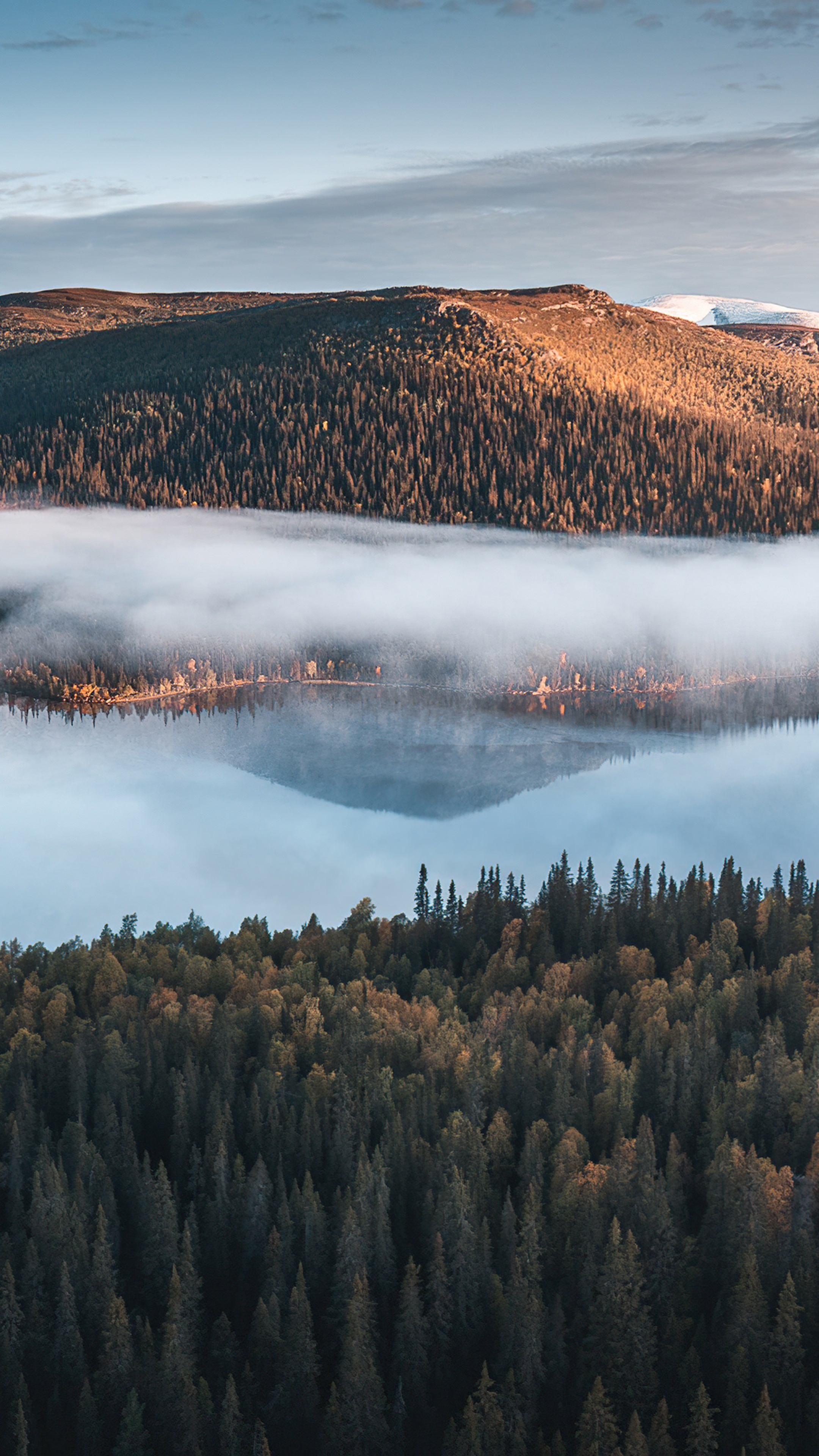 Forests and lake with fog and mountains HD Phone Wallpaper
