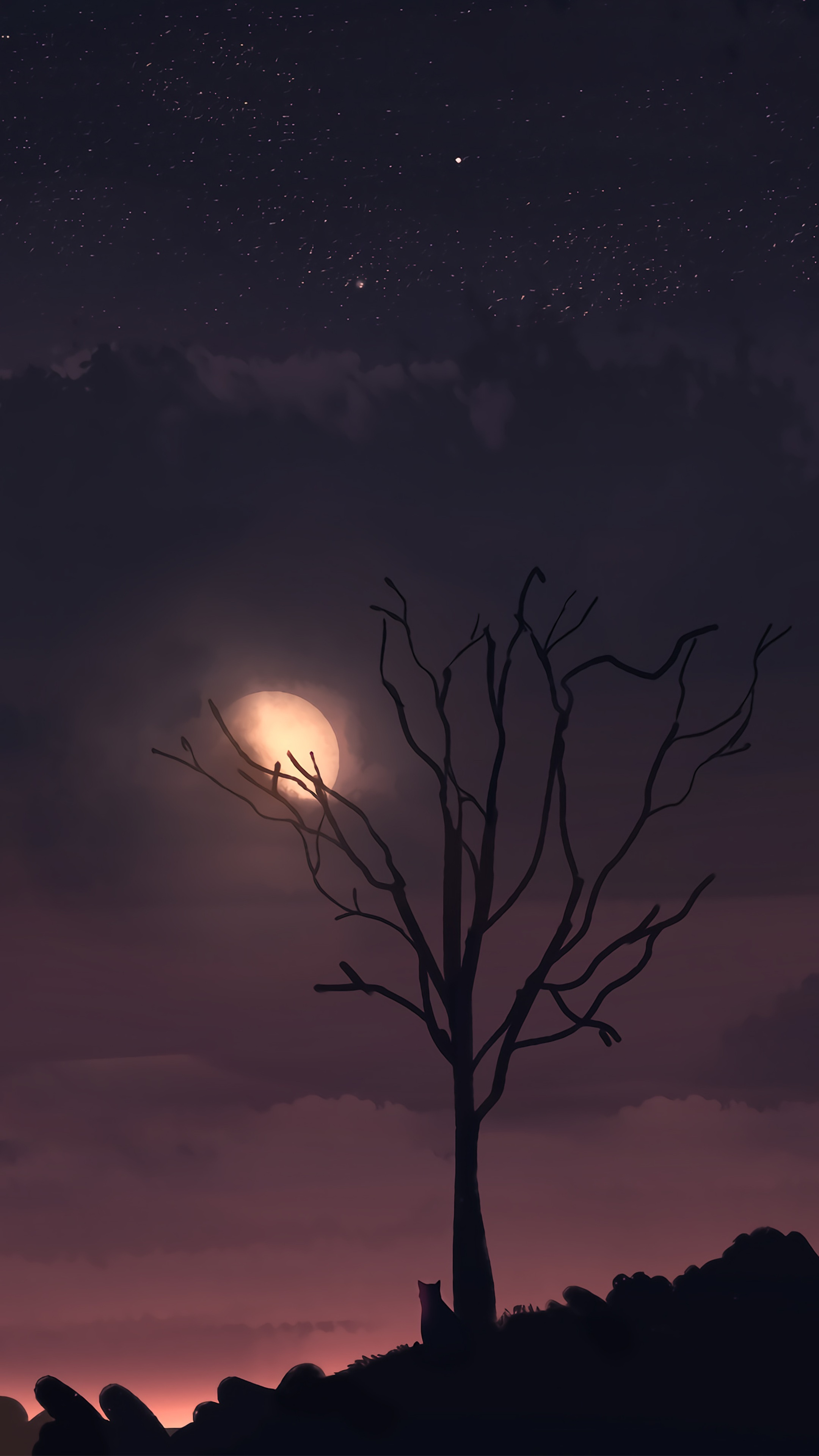 Night scene with moon, bare tree, and cat HD Phone Wallpaper