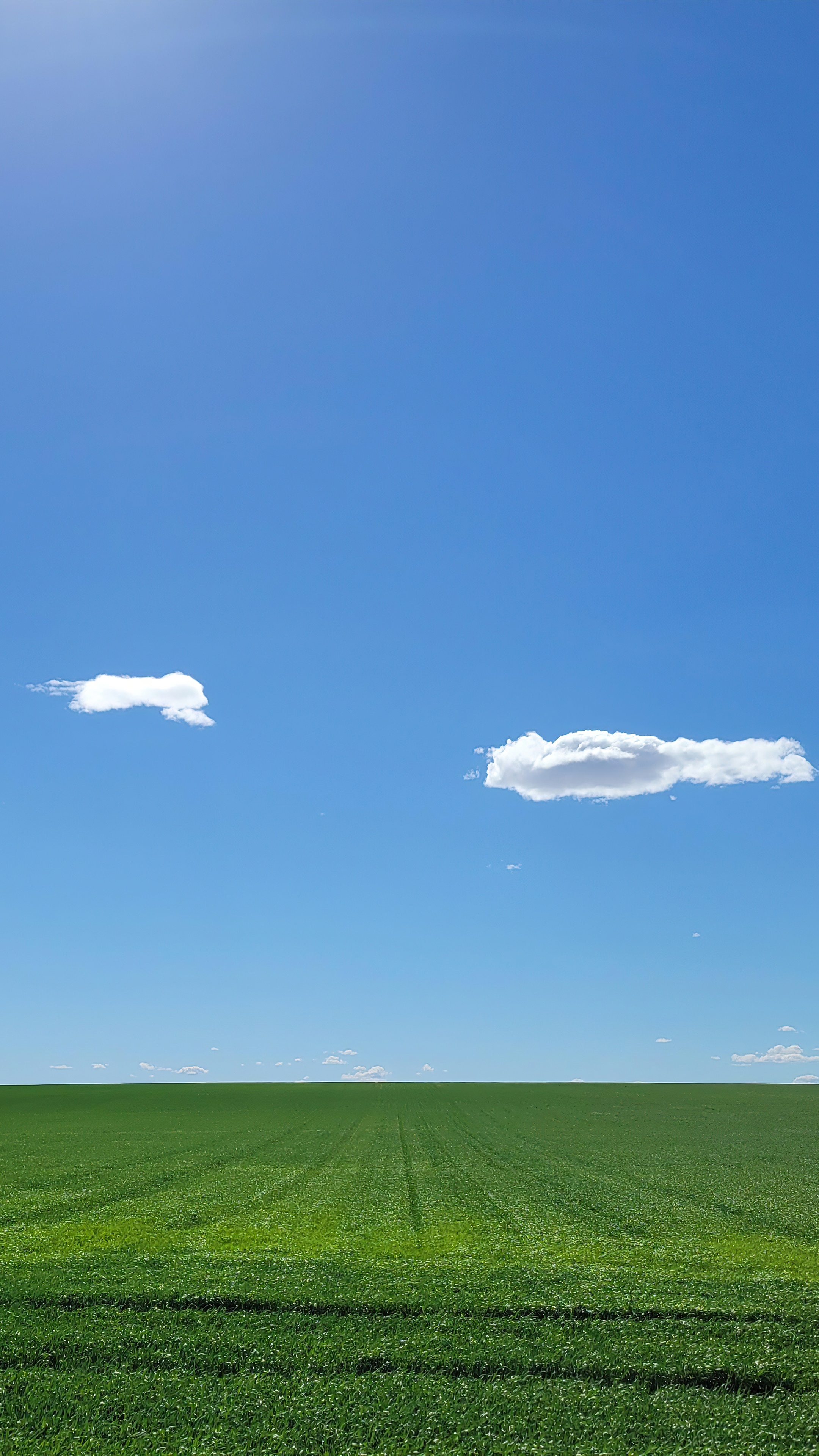 Green field under a blue sky with clouds HD Phone Wallpaper