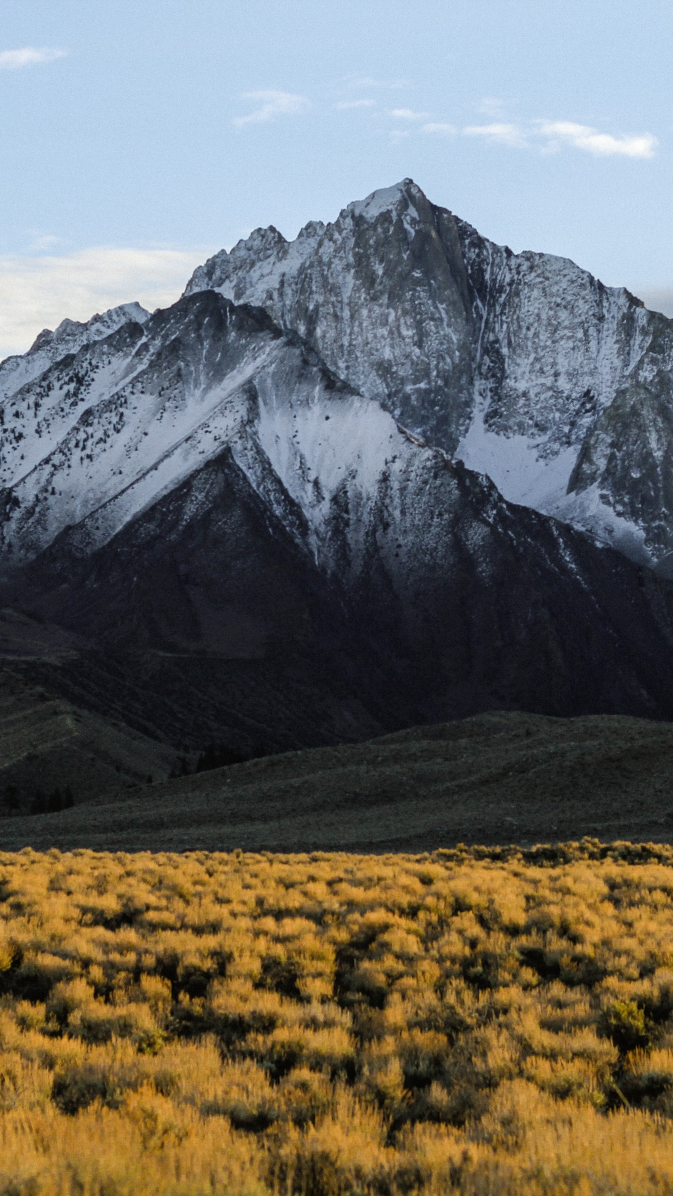 Snow-capped mountain range over golden field HD Phone Wallpaper