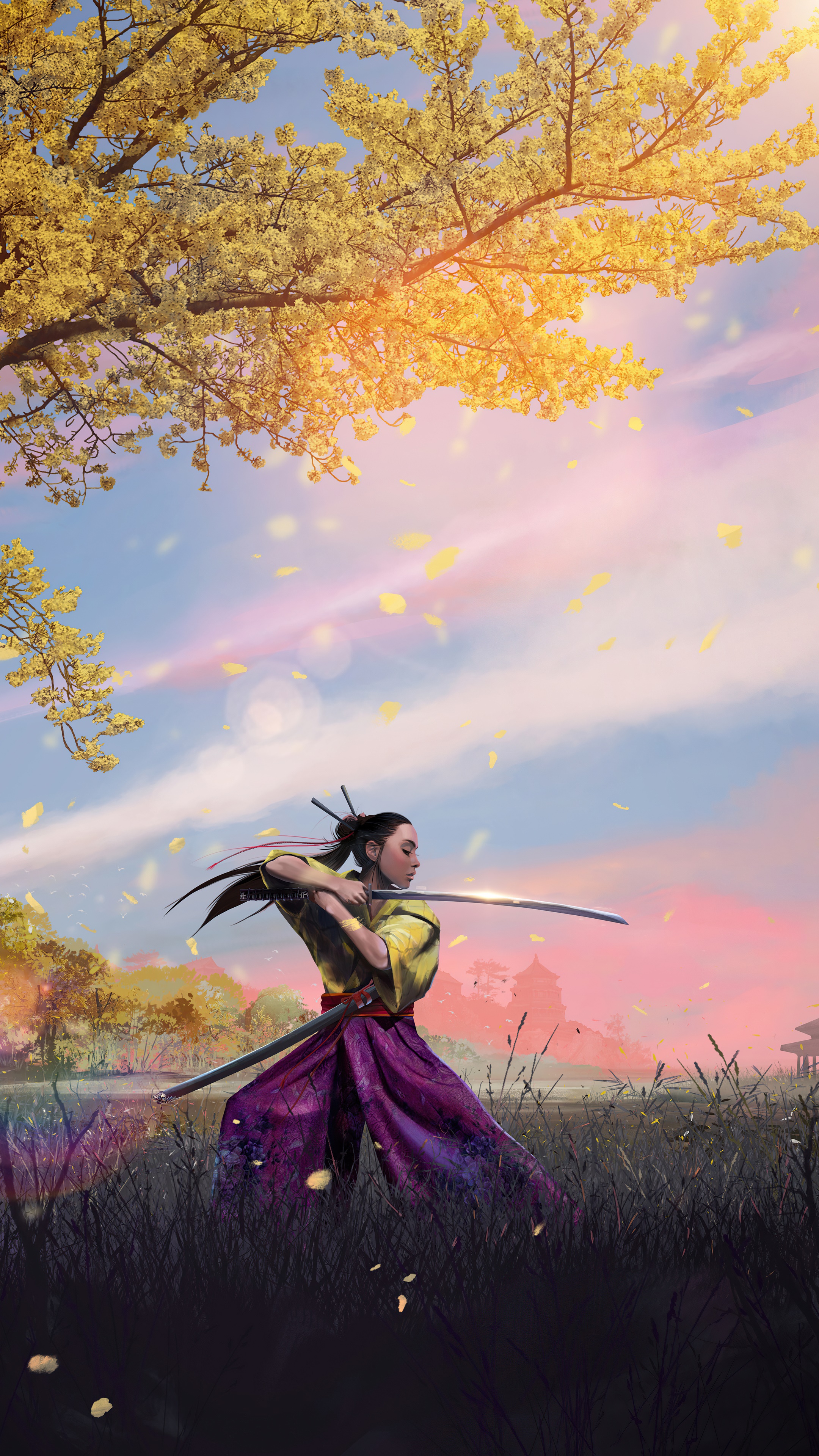 Samurai warrior with swords in a field HD Phone Wallpaper