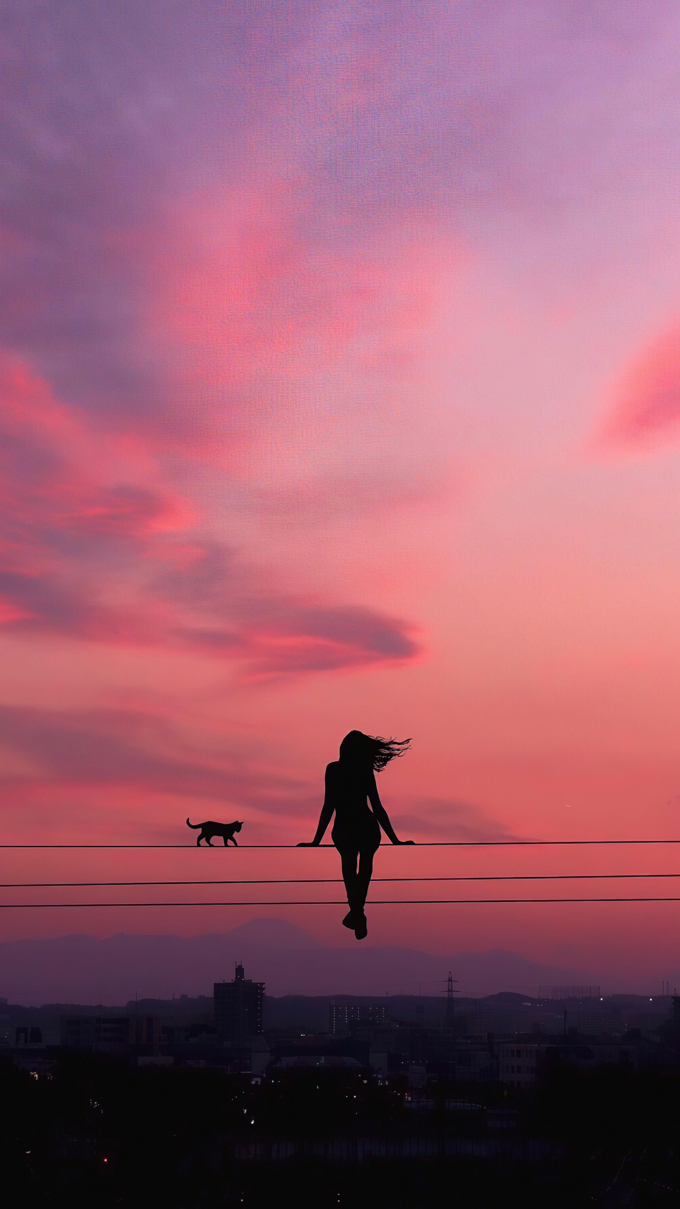 Silhouette of a woman and cat on wires at sunset HD Phone Wallpaper