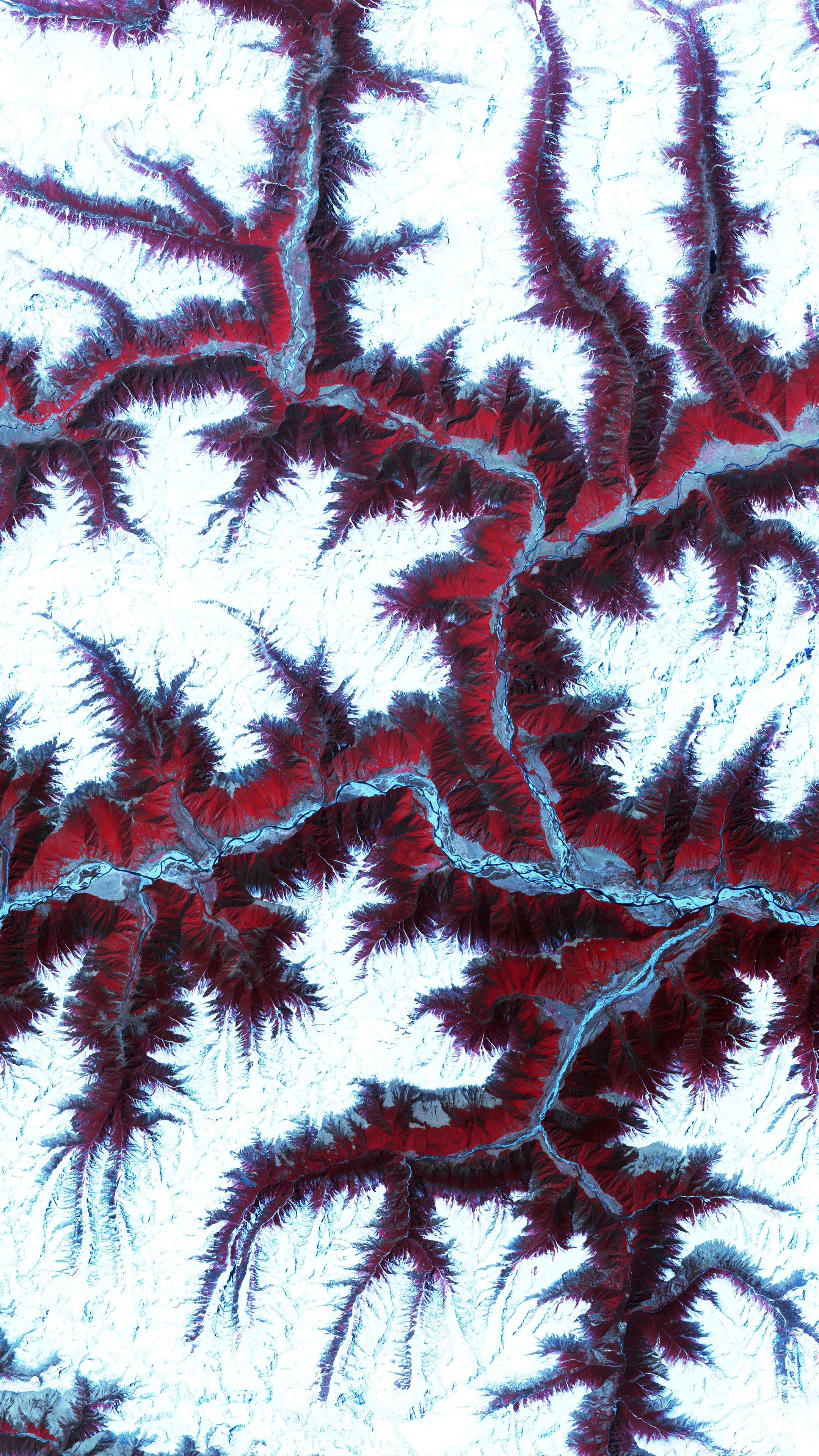 Satellite image of snow-capped mountains and canyons HD Phone Wallpaper