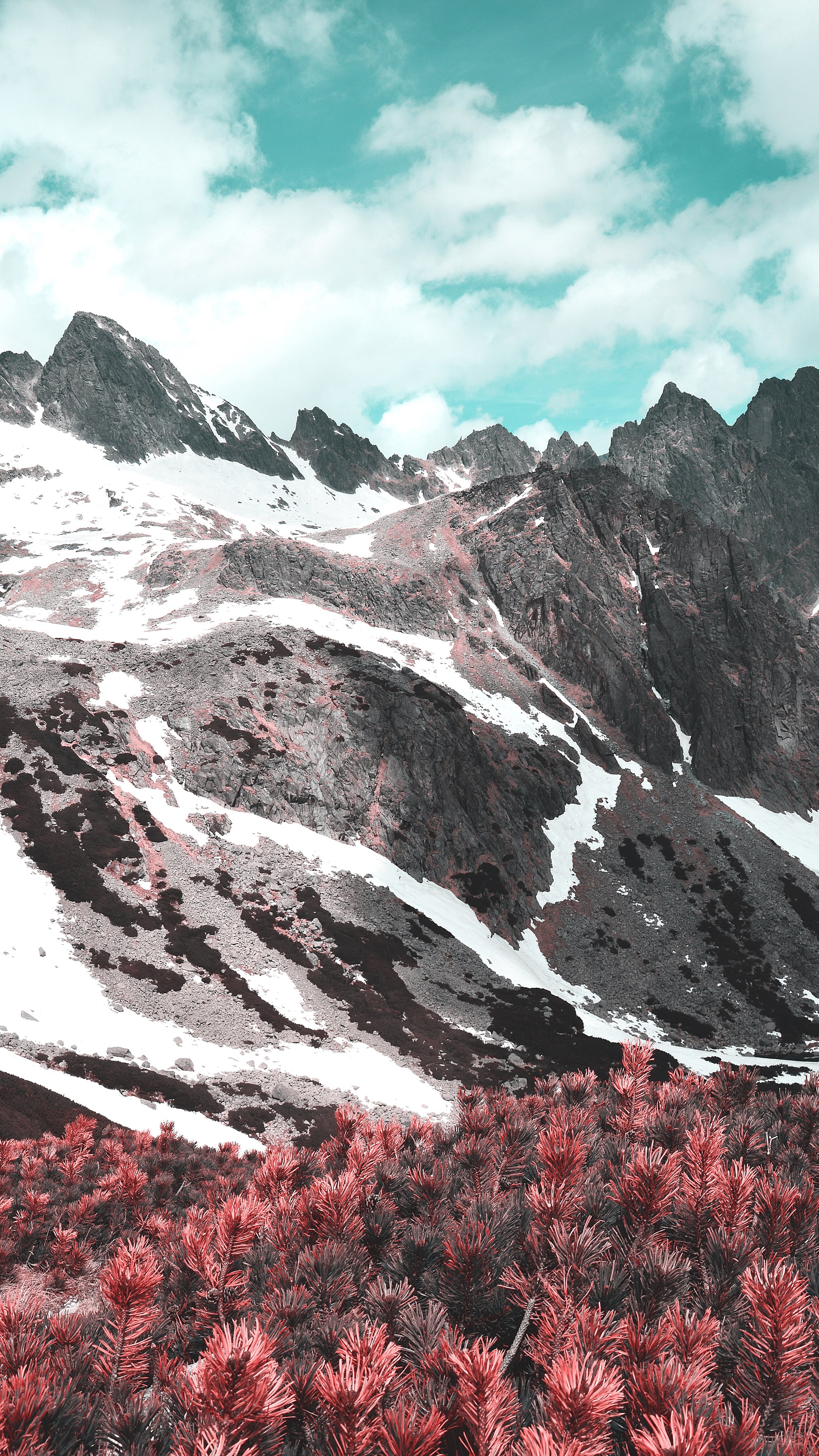 Snow-capped mountains with red pine trees and turquoise sky HD Phone Wallpaper
