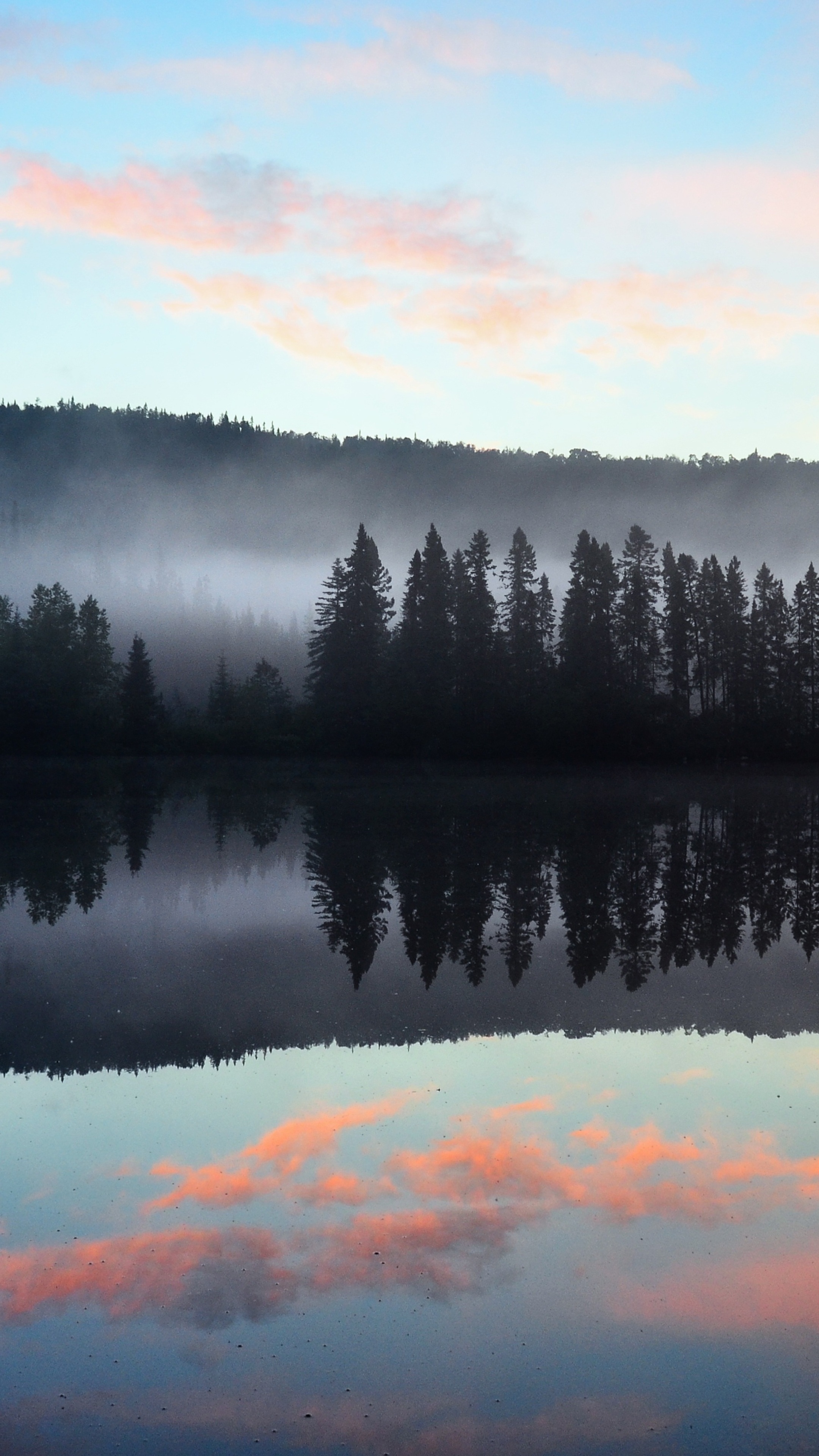 Lake reflection of misty forest and pink clouds at sunrise HD Phone Wallpaper