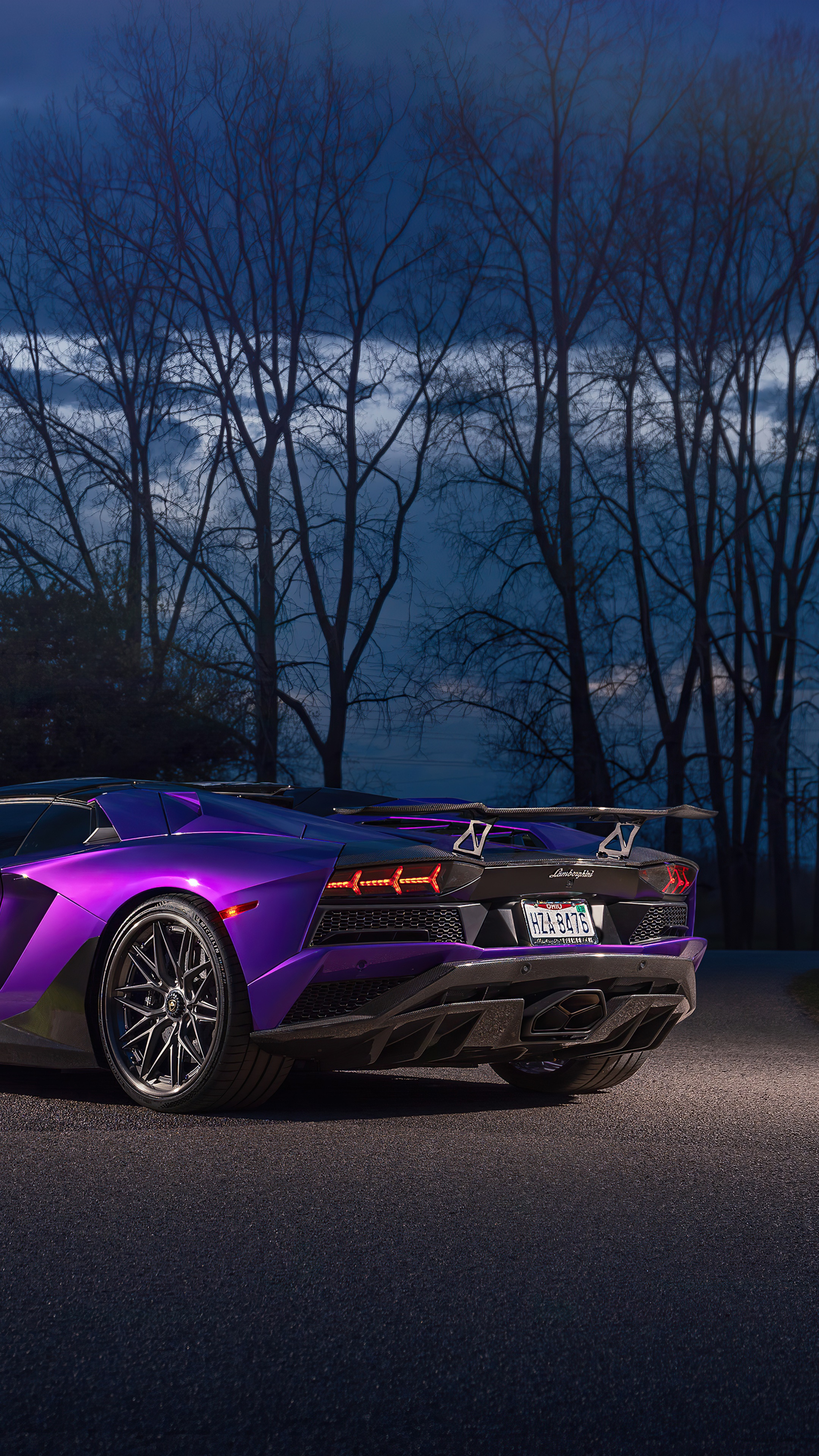 Purple Lamborghini Aventador Roadster Rear View HD Phone Wallpaper