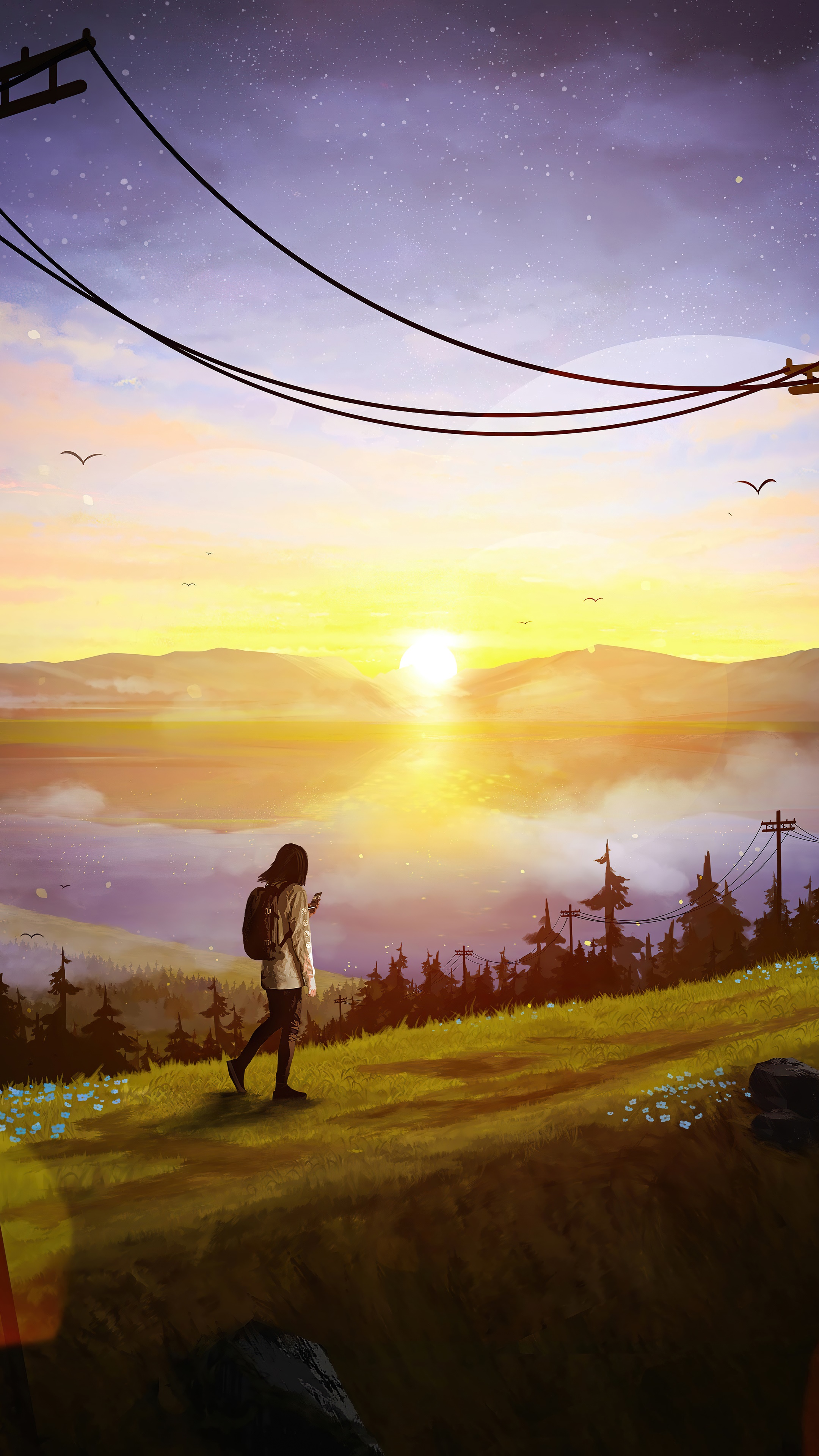 Digital art of a person looking at a phone at sunset HD Phone Wallpaper