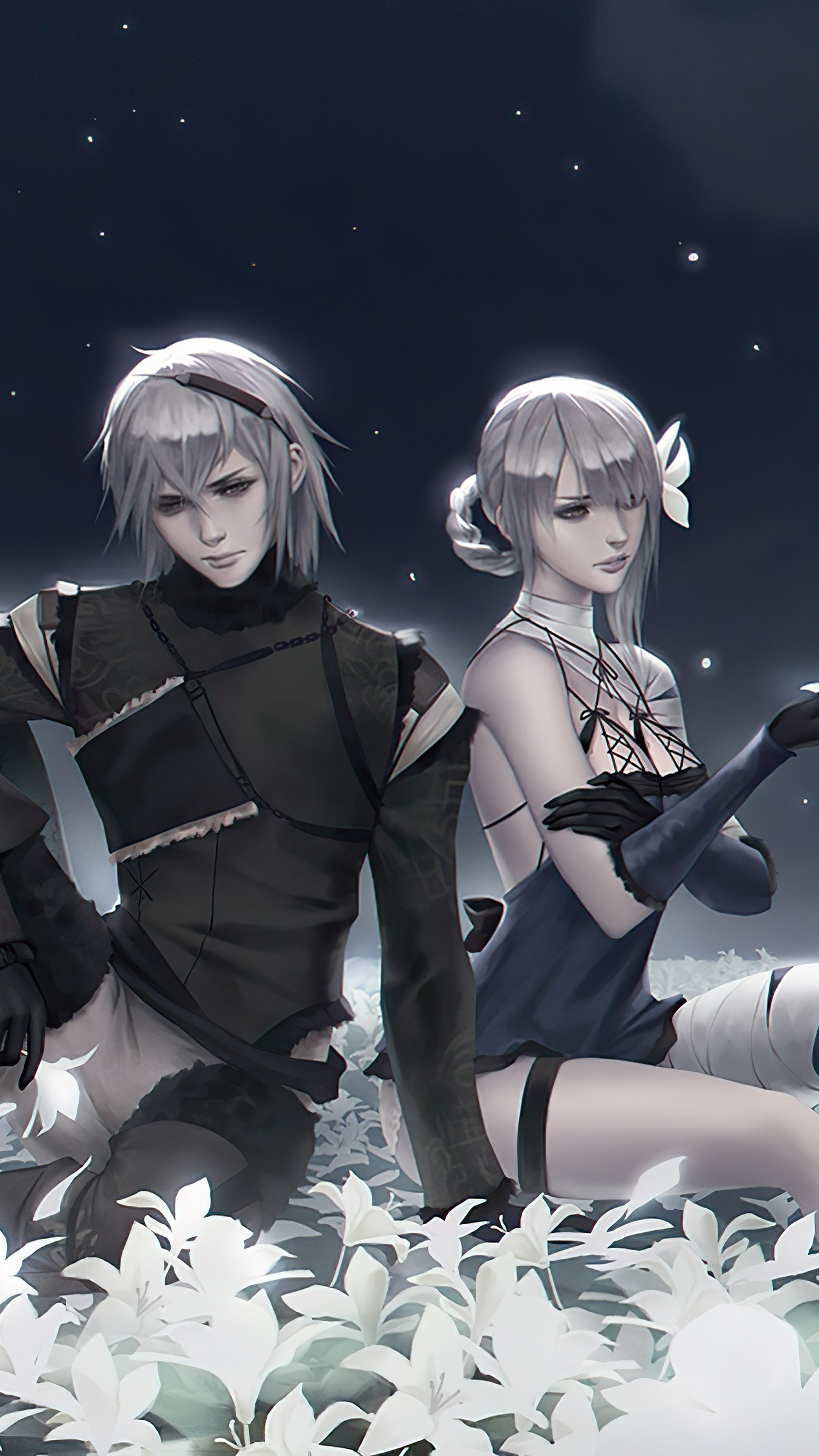 2B and 9S from Nier: Automata HD Phone Wallpaper