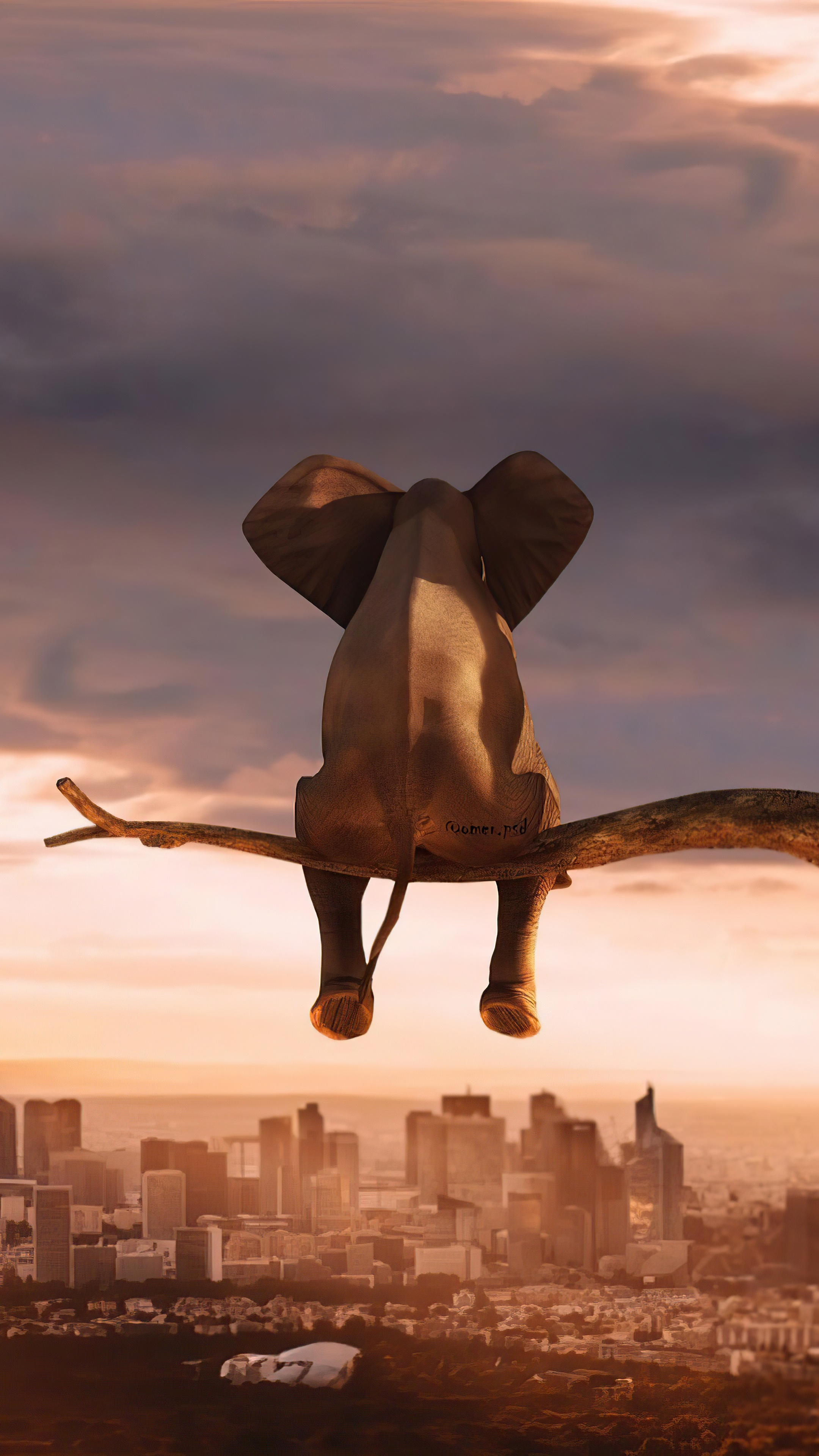 Elephant sitting on a branch overlooking a city HD Phone Wallpaper