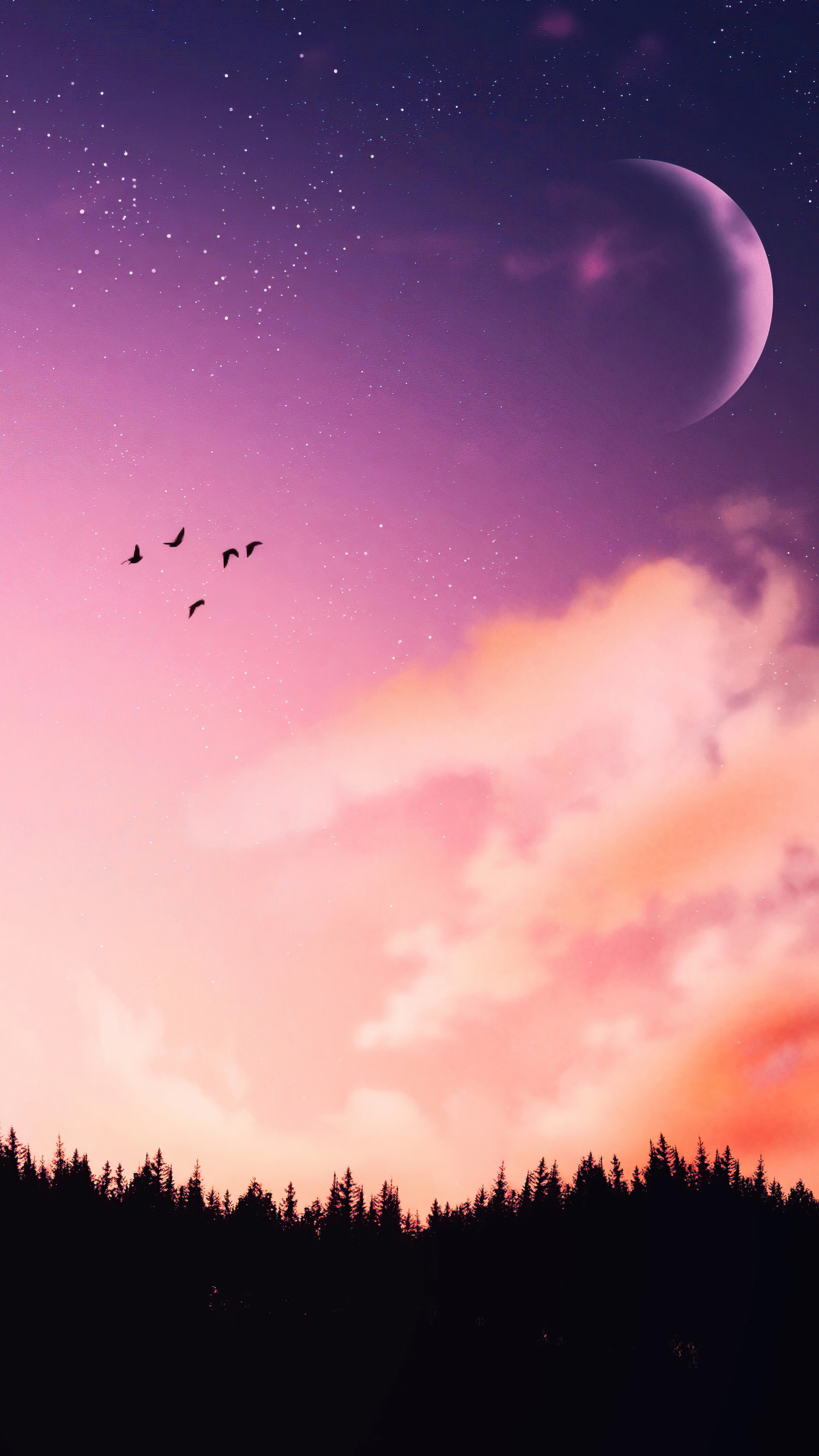 Digital art of birds flying in a purple and pink sky HD Phone Wallpaper