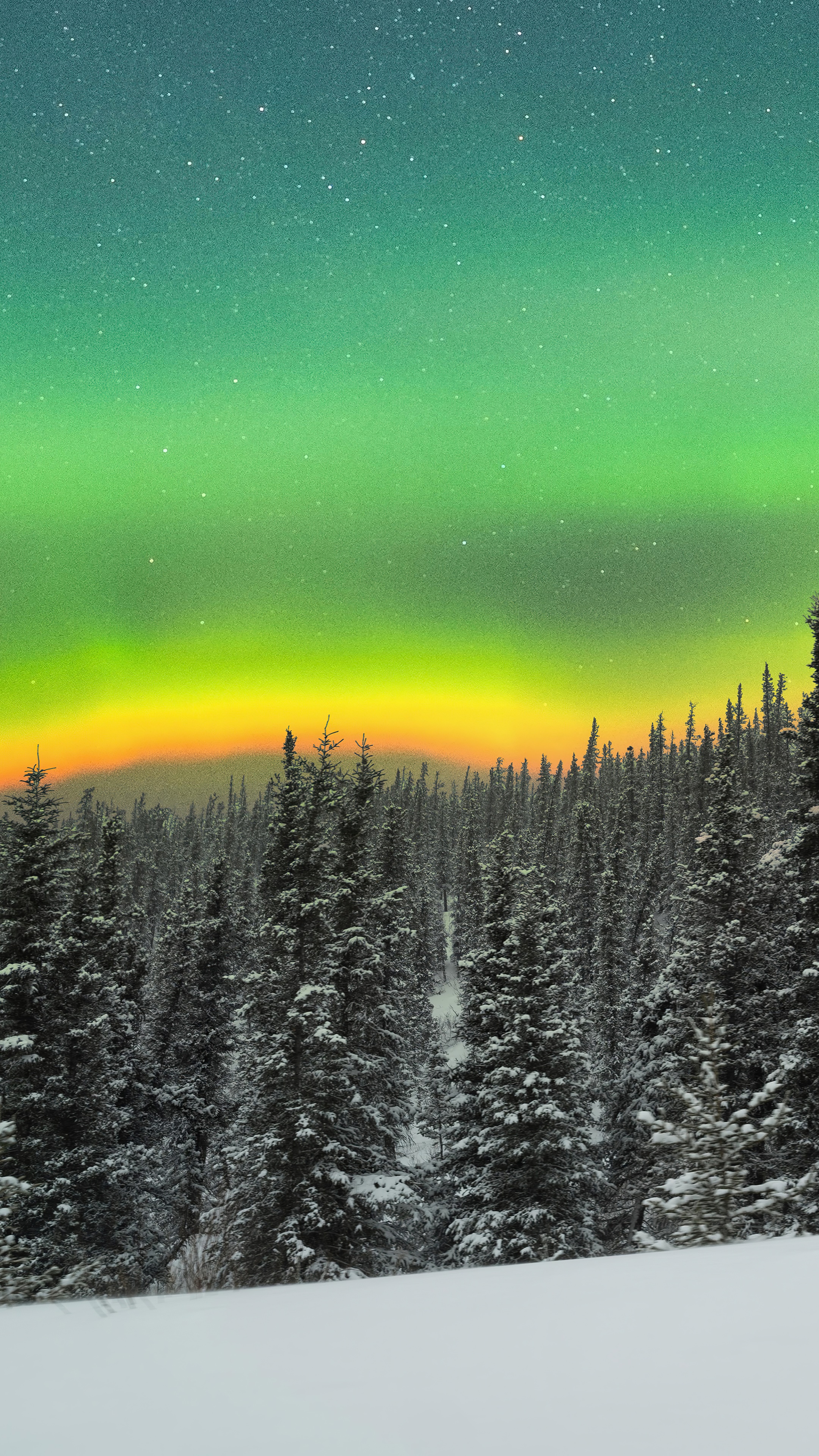 Aurora Borealis over a snowy forest HD Phone Wallpaper