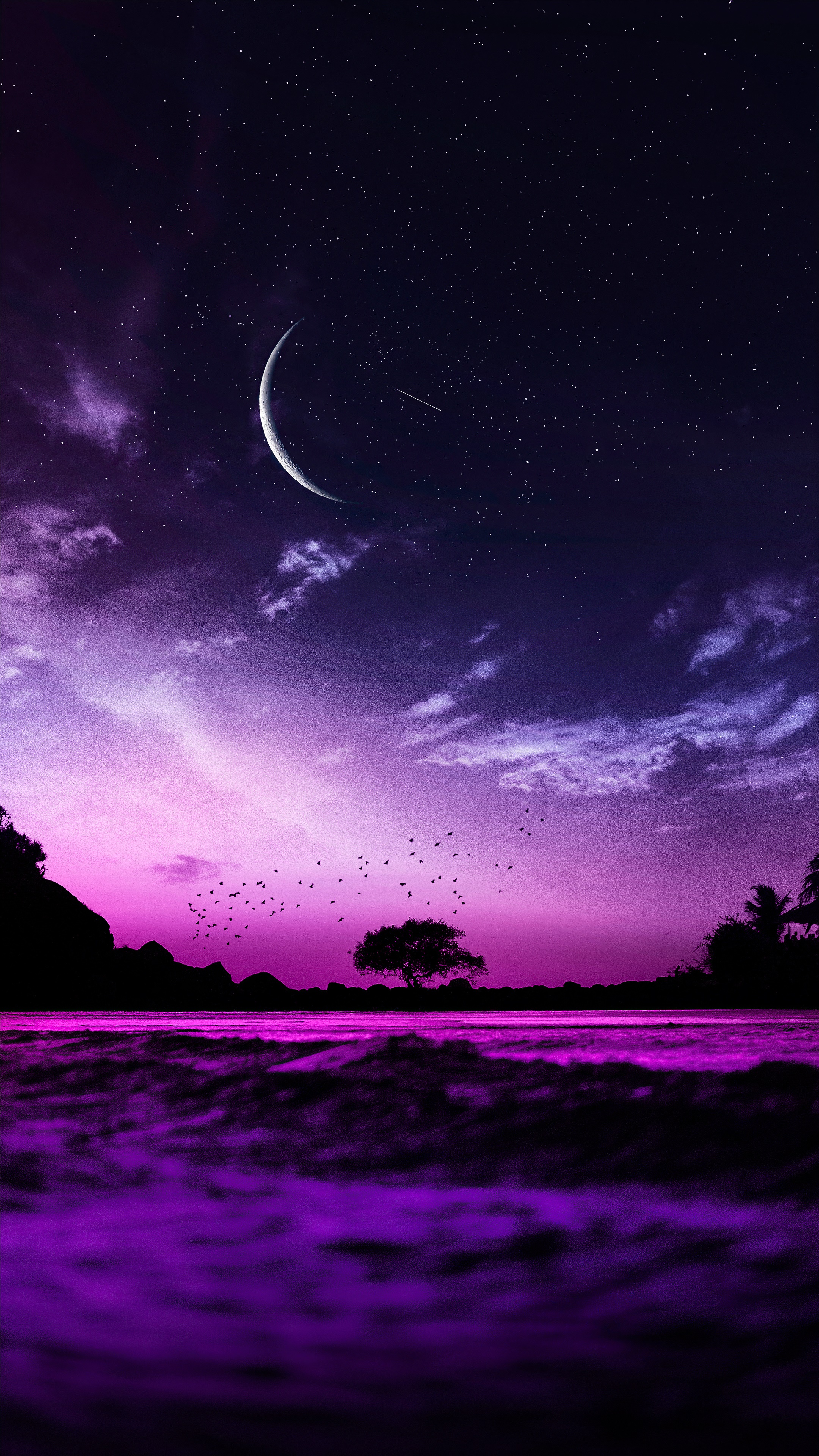 Crescent moon over a purple ocean and silhouetted landscape HD Phone Wallpaper