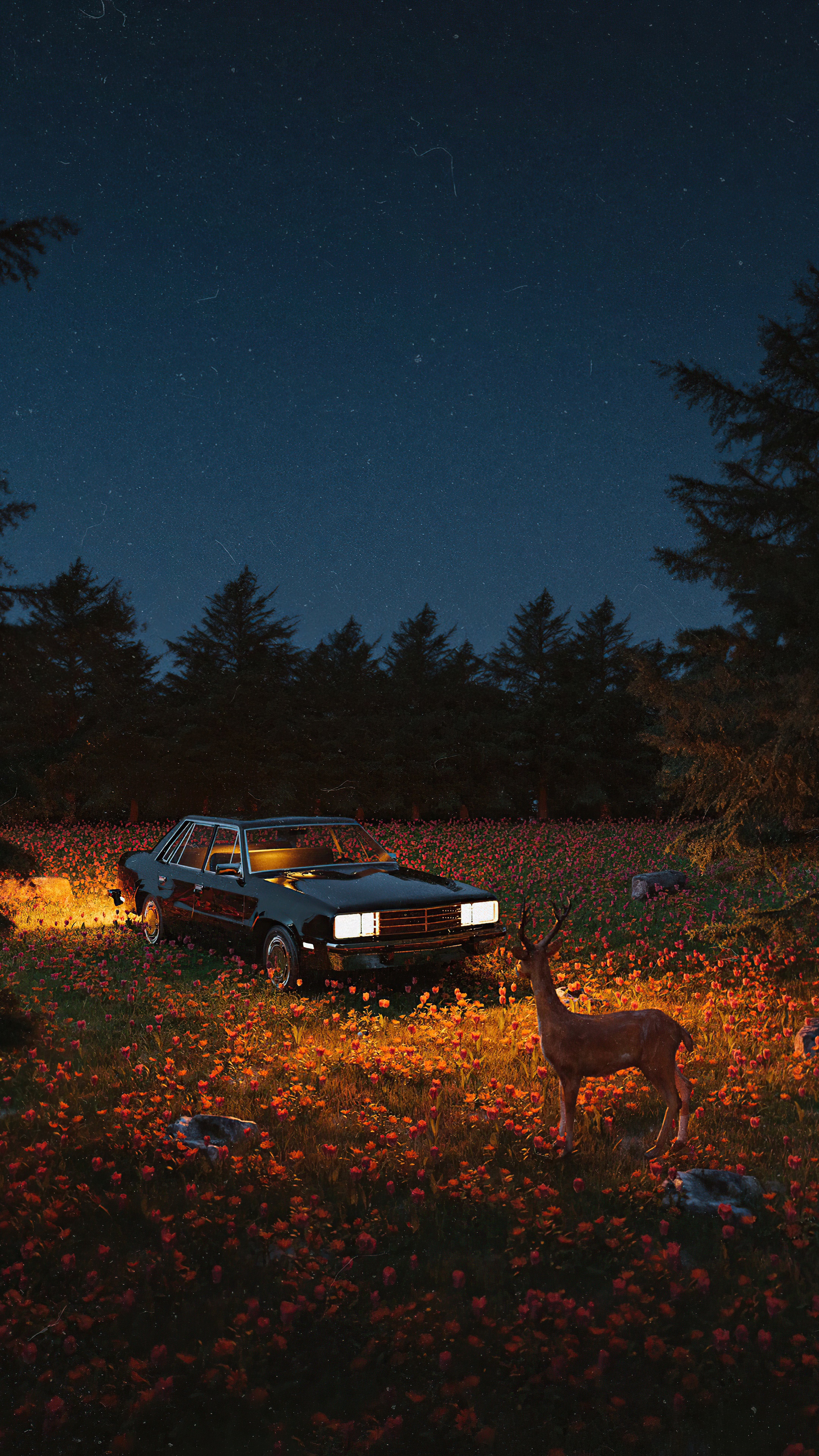 Deer and car in a field of flowers at night HD Phone Wallpaper