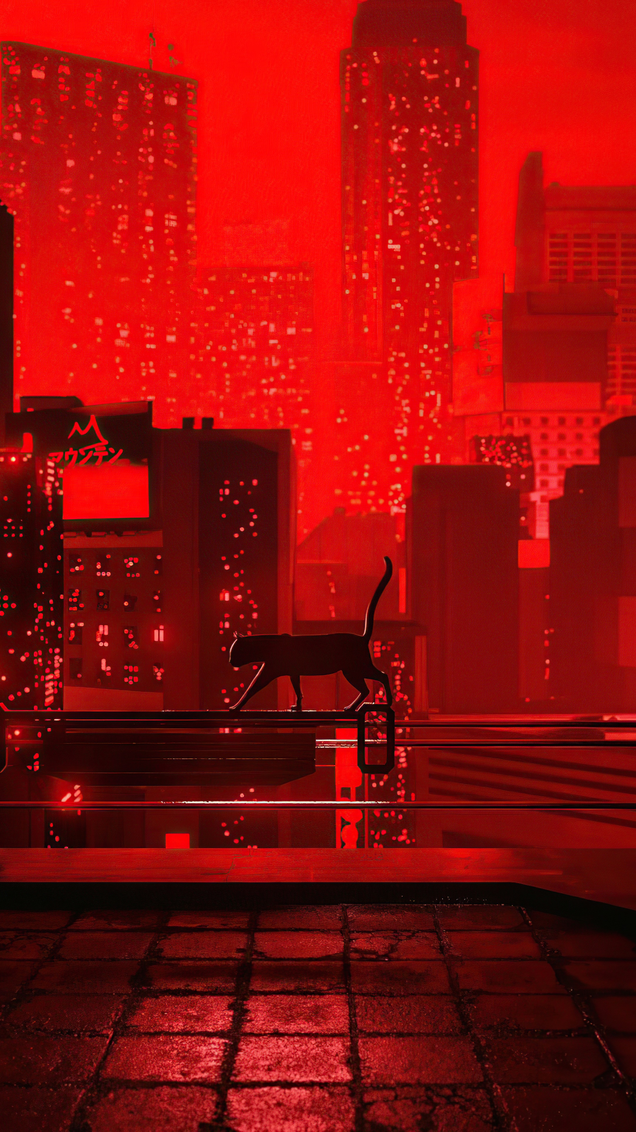 Black cat on a railing in a red city at night HD Phone Wallpaper