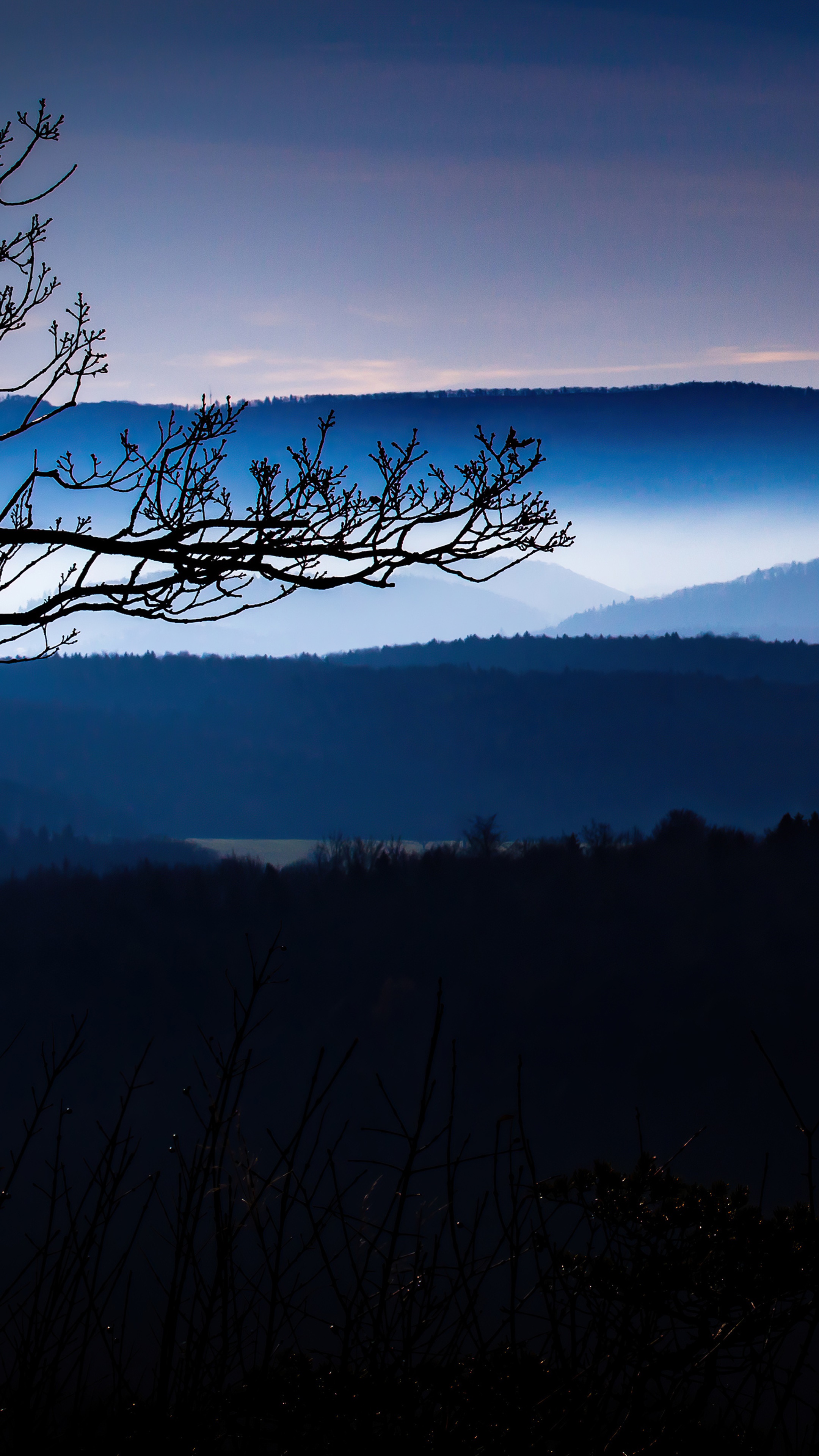 Silhouetted Tree Branches Over Blue Mountains at Dusk HD Phone Wallpaper