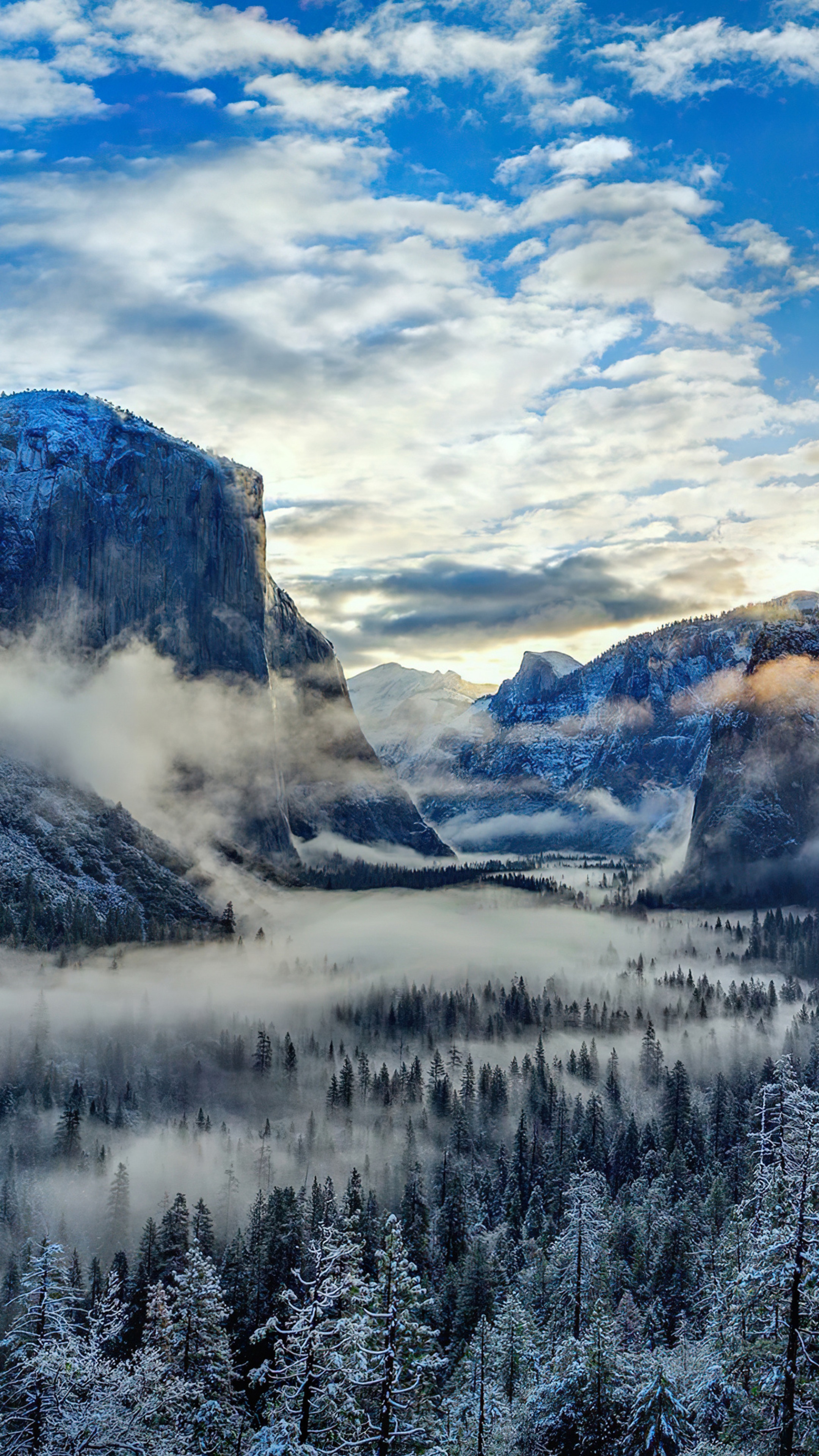 Yosemite Valley in Winter with Fog and Snow HD Phone Wallpaper