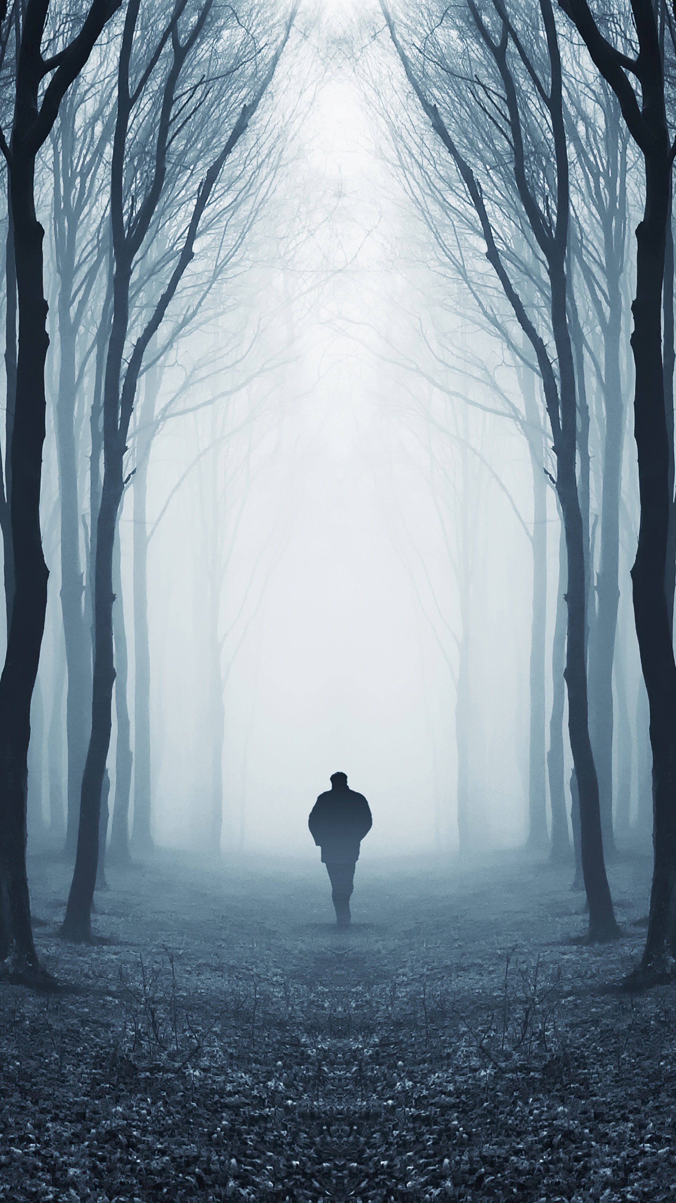 Man walking in a foggy forest HD Phone Wallpaper