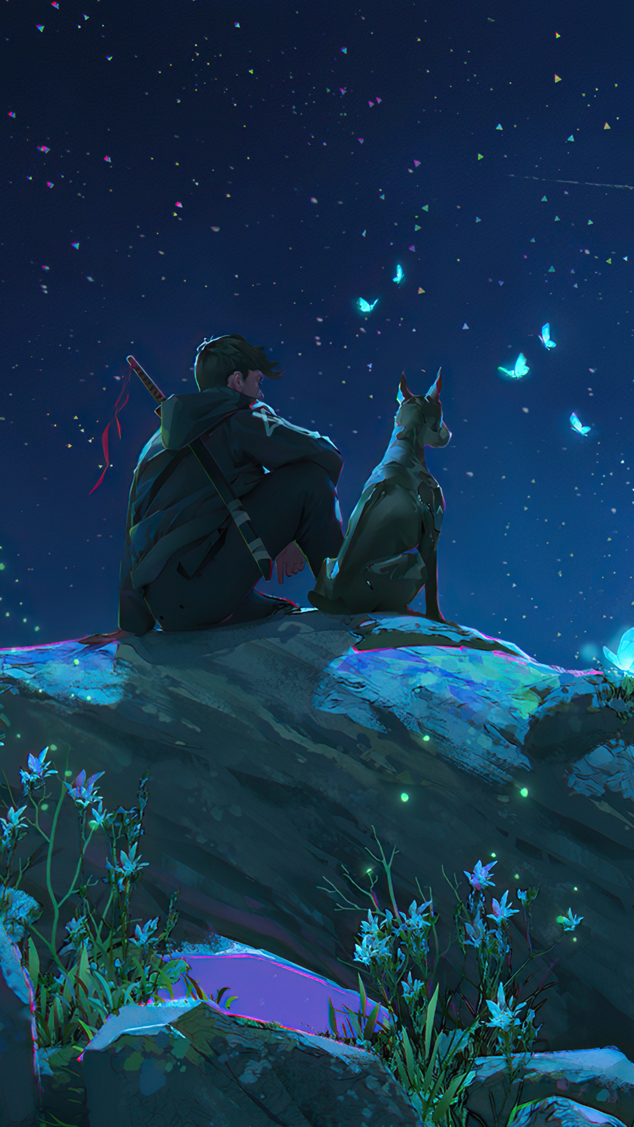 Man and dog watching stars and butterflies HD Phone Wallpaper