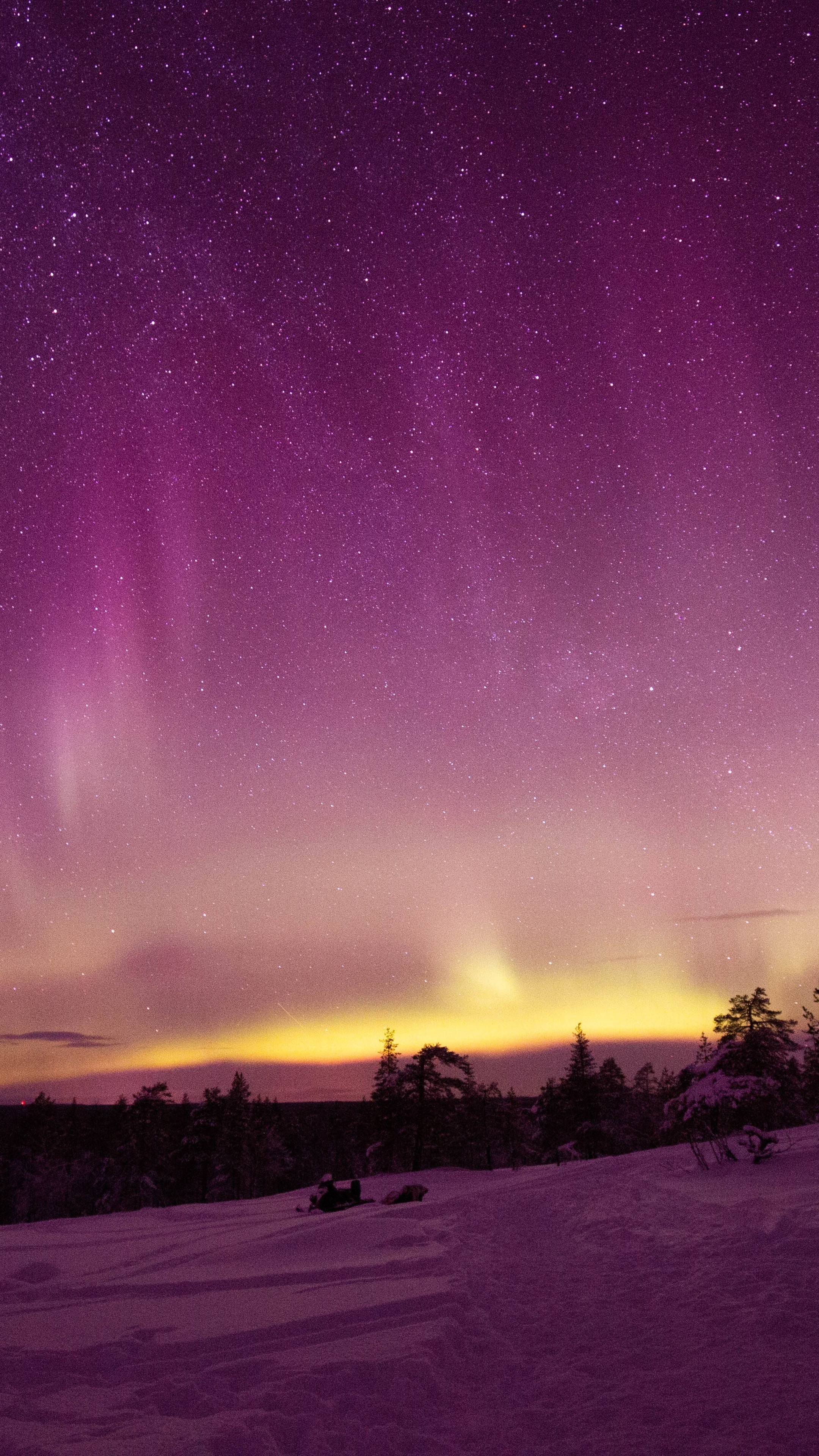 Aurora Borealis over a snowy forest HD Phone Wallpaper