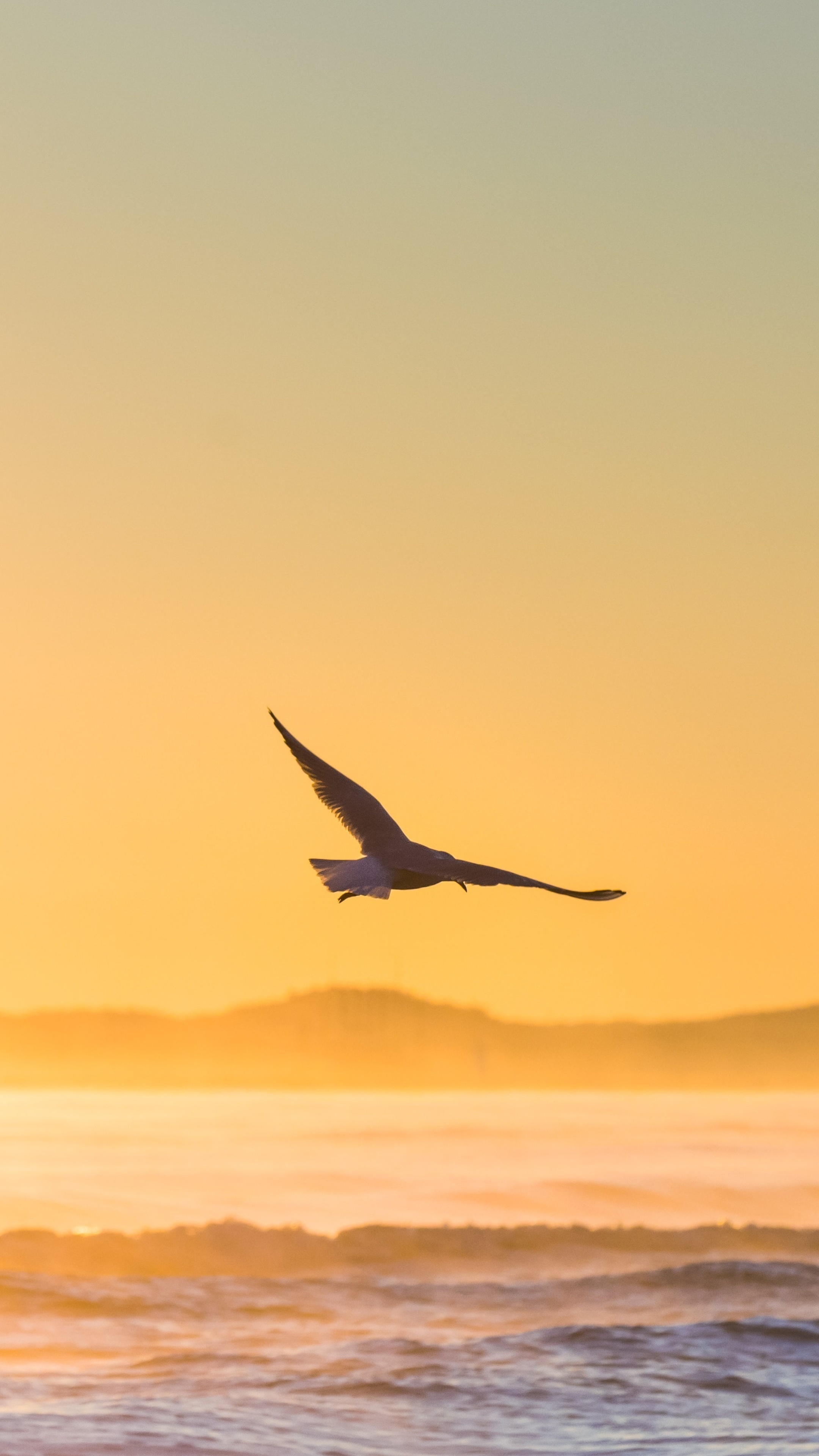 Seagull flying over ocean waves at sunset 4K HD Phone Wallpaper