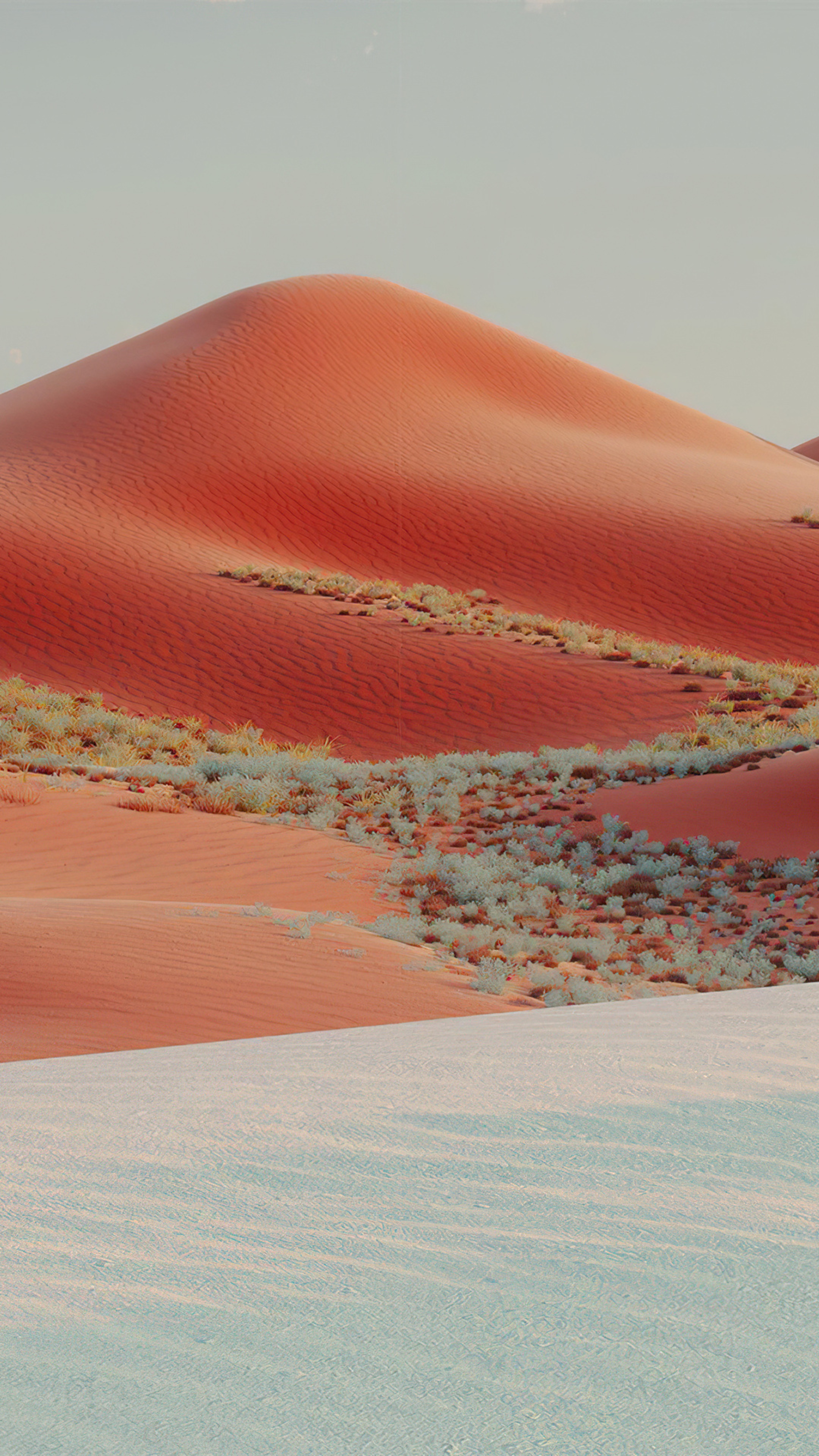 Red sand dunes with sparse vegetation and white sand in foreground HD Phone Wallpaper