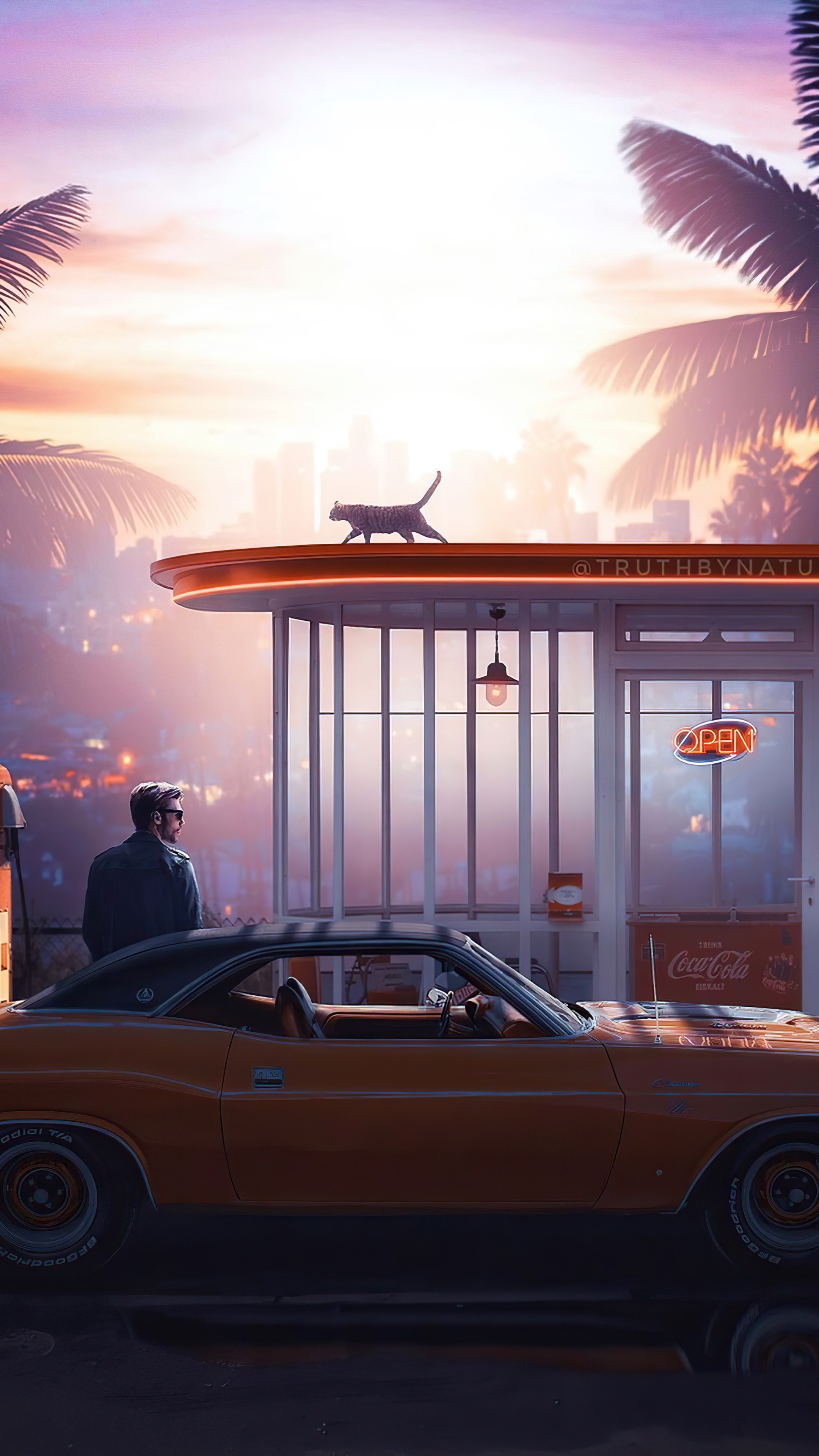 Cat on a diner roof with a classic car HD Phone Wallpaper