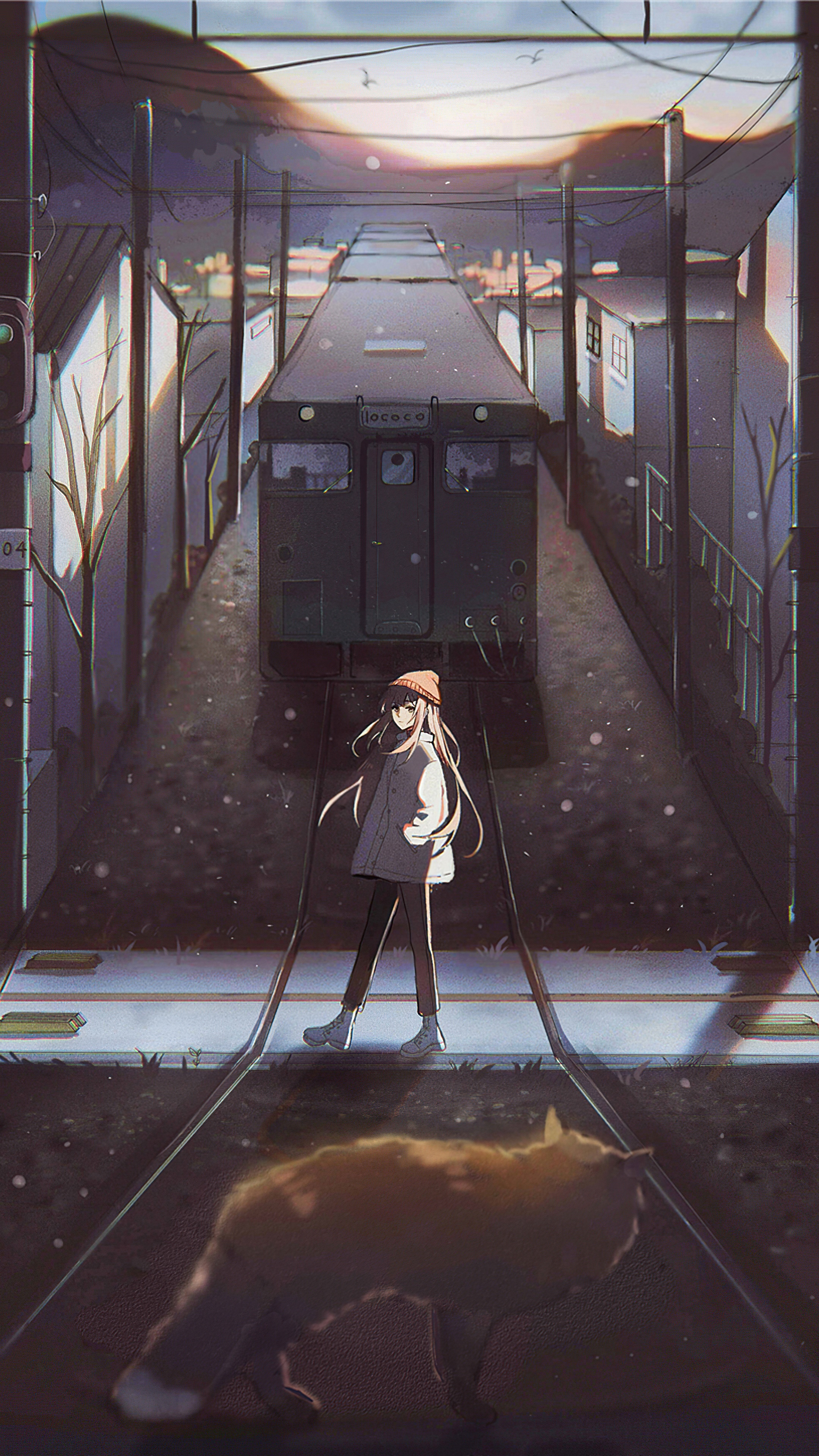 Anime girl and cat on train tracks at sunset HD Phone Wallpaper