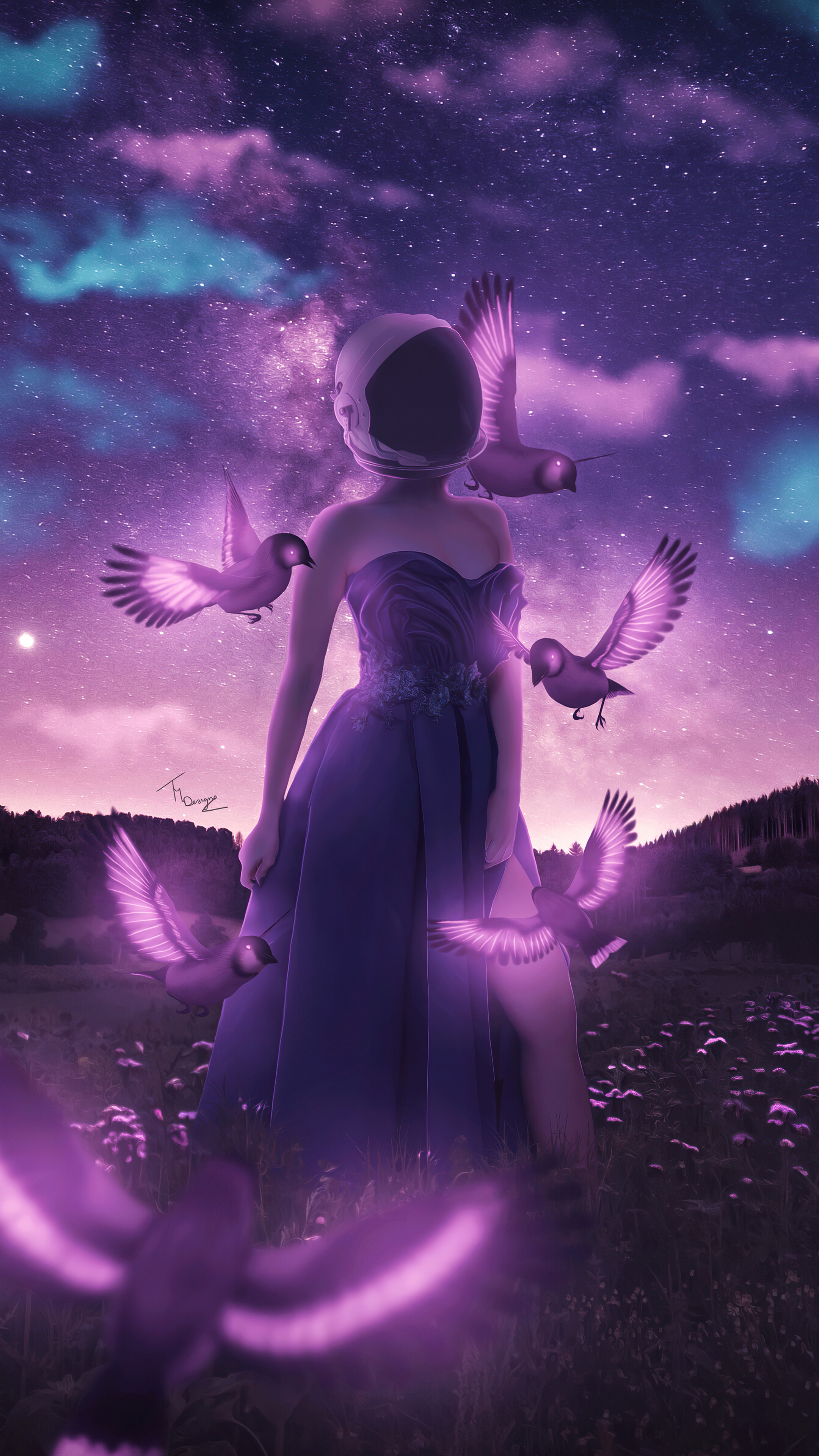 Woman in purple dress with birds in starry sky HD Phone Wallpaper