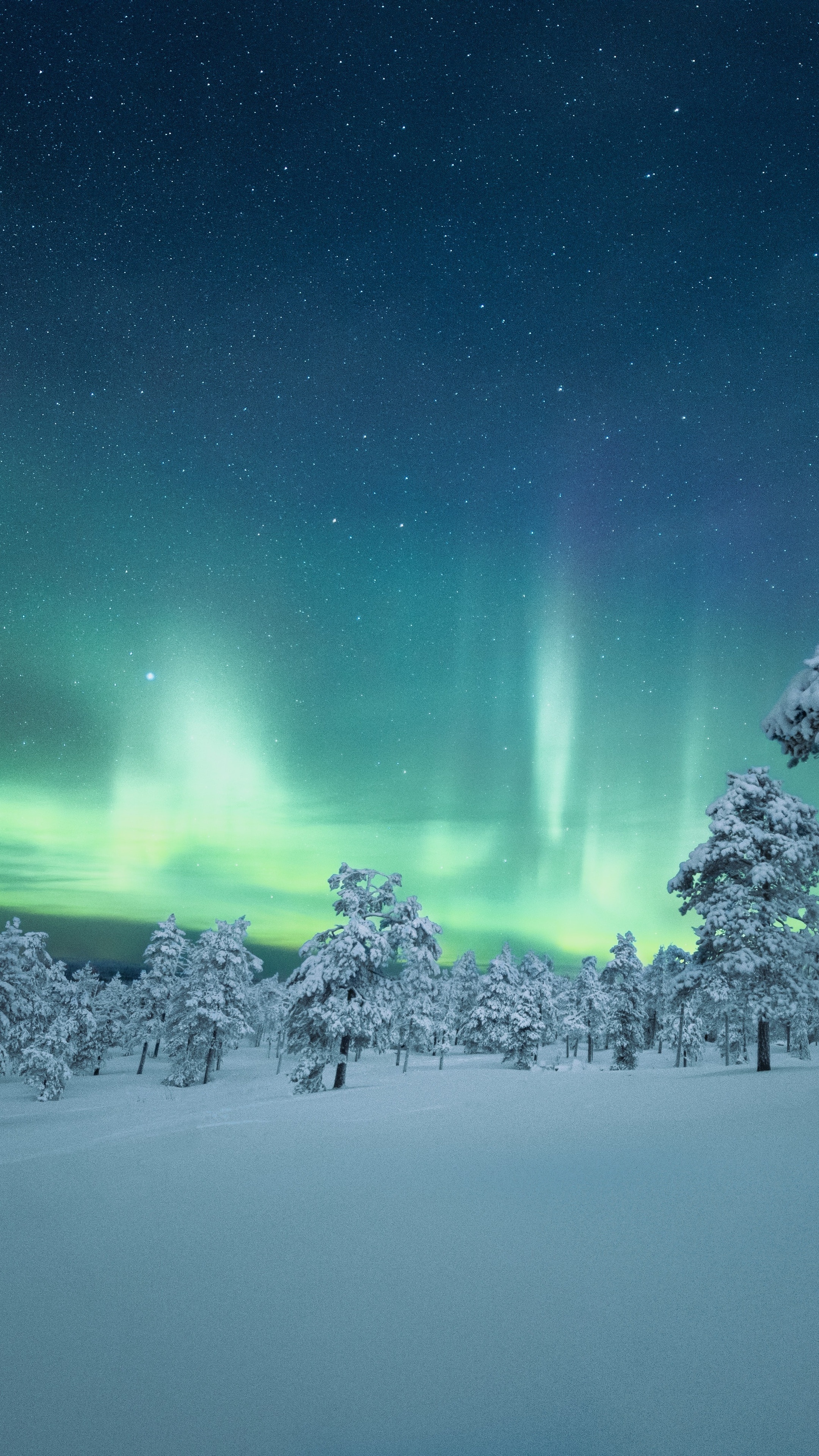 Aurora Borealis over snow-covered trees in Finland 4K HD Phone Wallpaper