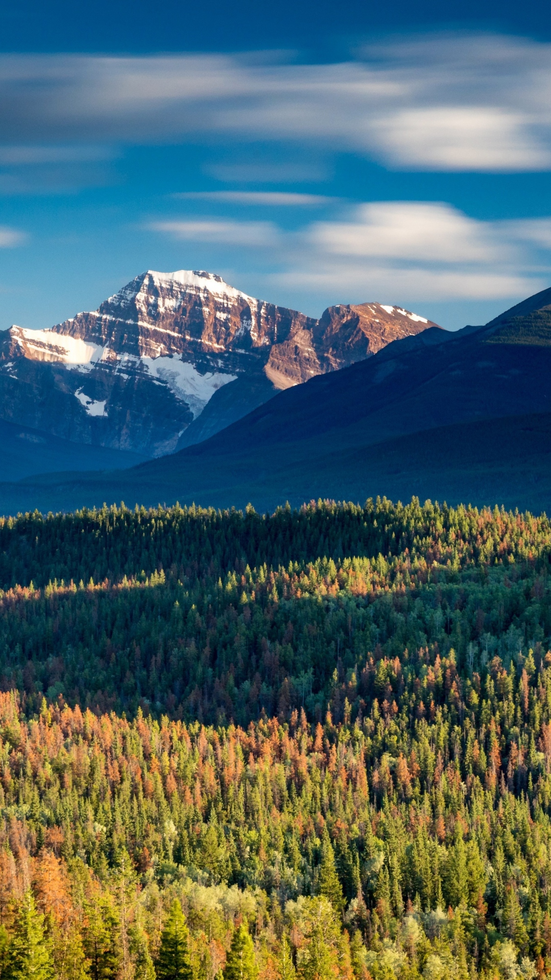 Snow-capped mountains over a forest under a blue sky HD Phone Wallpaper