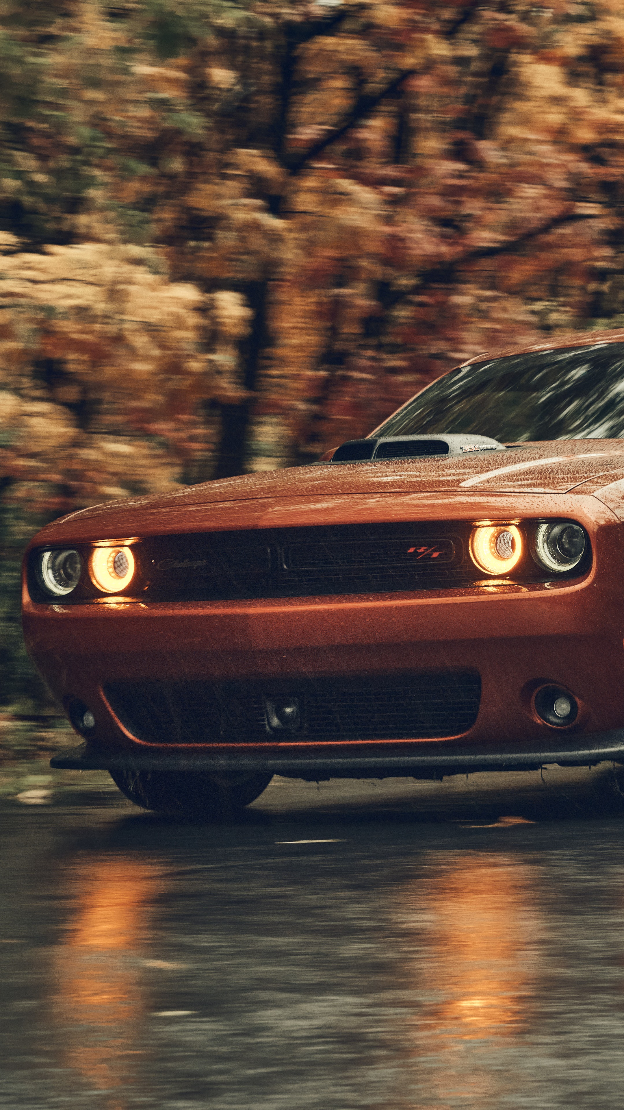 Orange Dodge Challenger driving on a wet road HD Phone Wallpaper