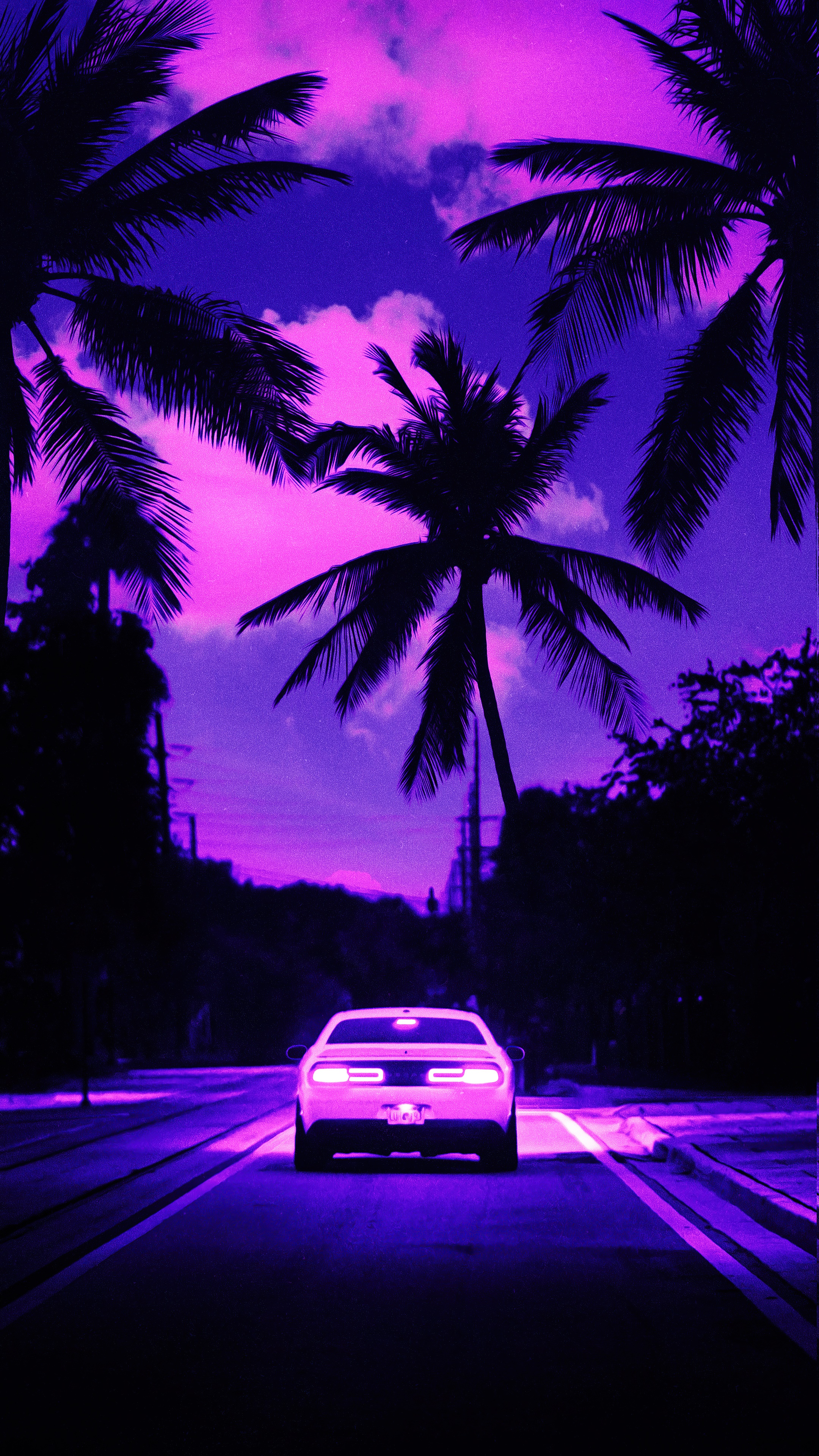 Dodge Challenger on a road with palm trees HD Phone Wallpaper