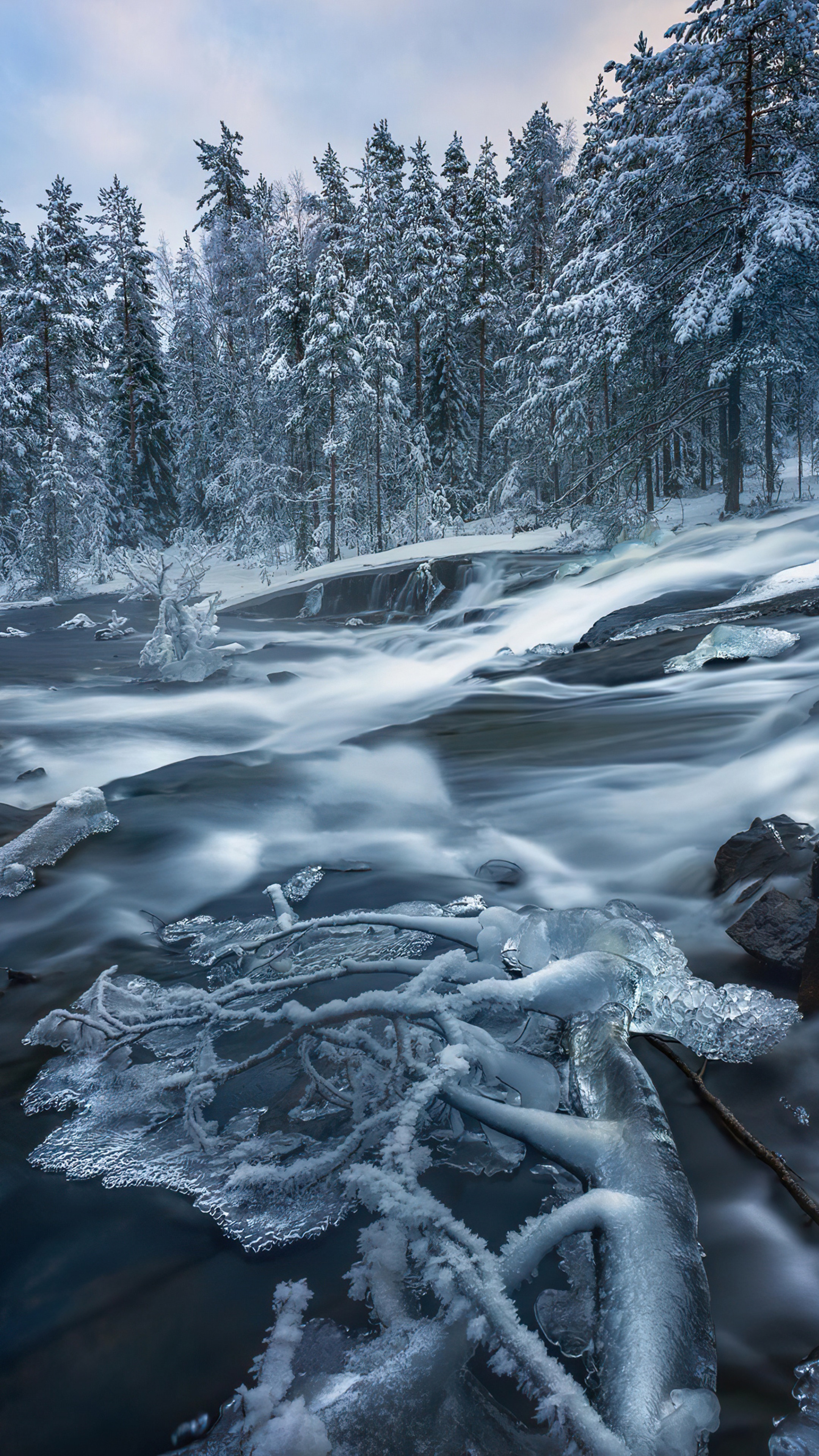 Winter forest with a frozen river and snow-covered trees HD Phone Wallpaper