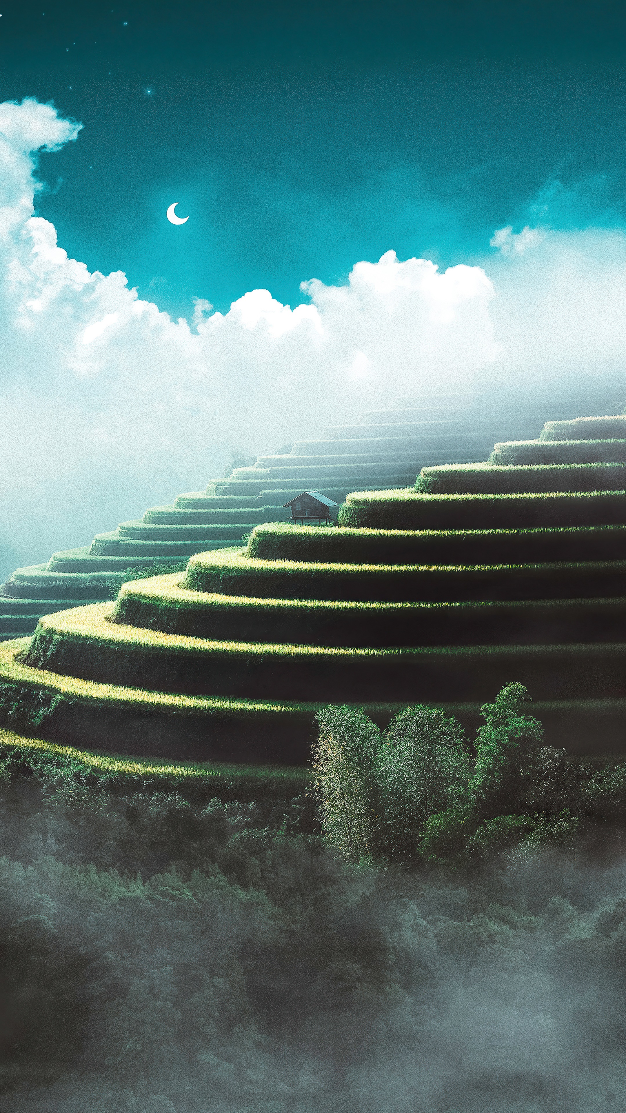 Terraced rice fields with a small hut under a crescent moon HD Phone Wallpaper