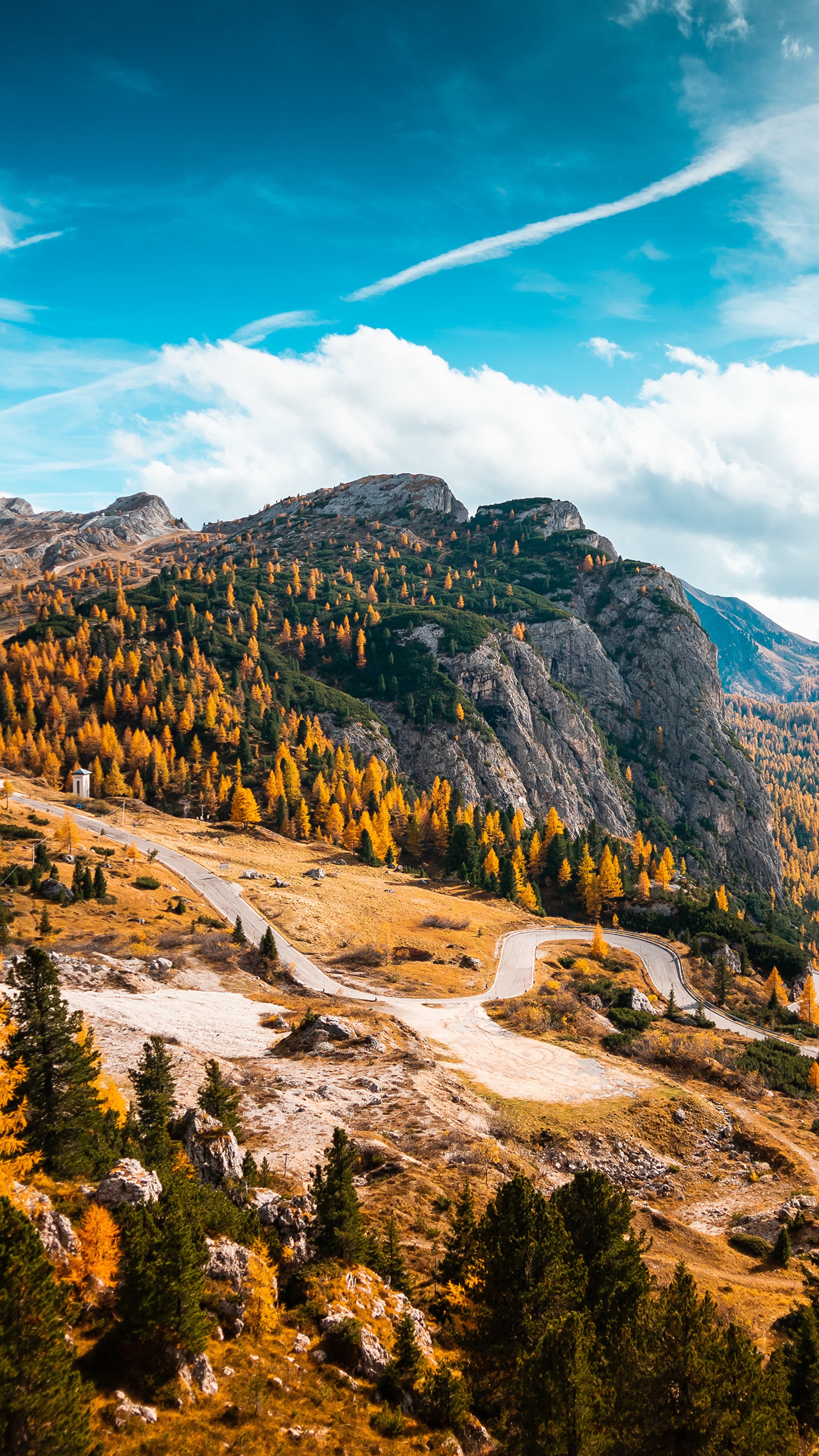 Mountain road winding through autumn forest HD Phone Wallpaper