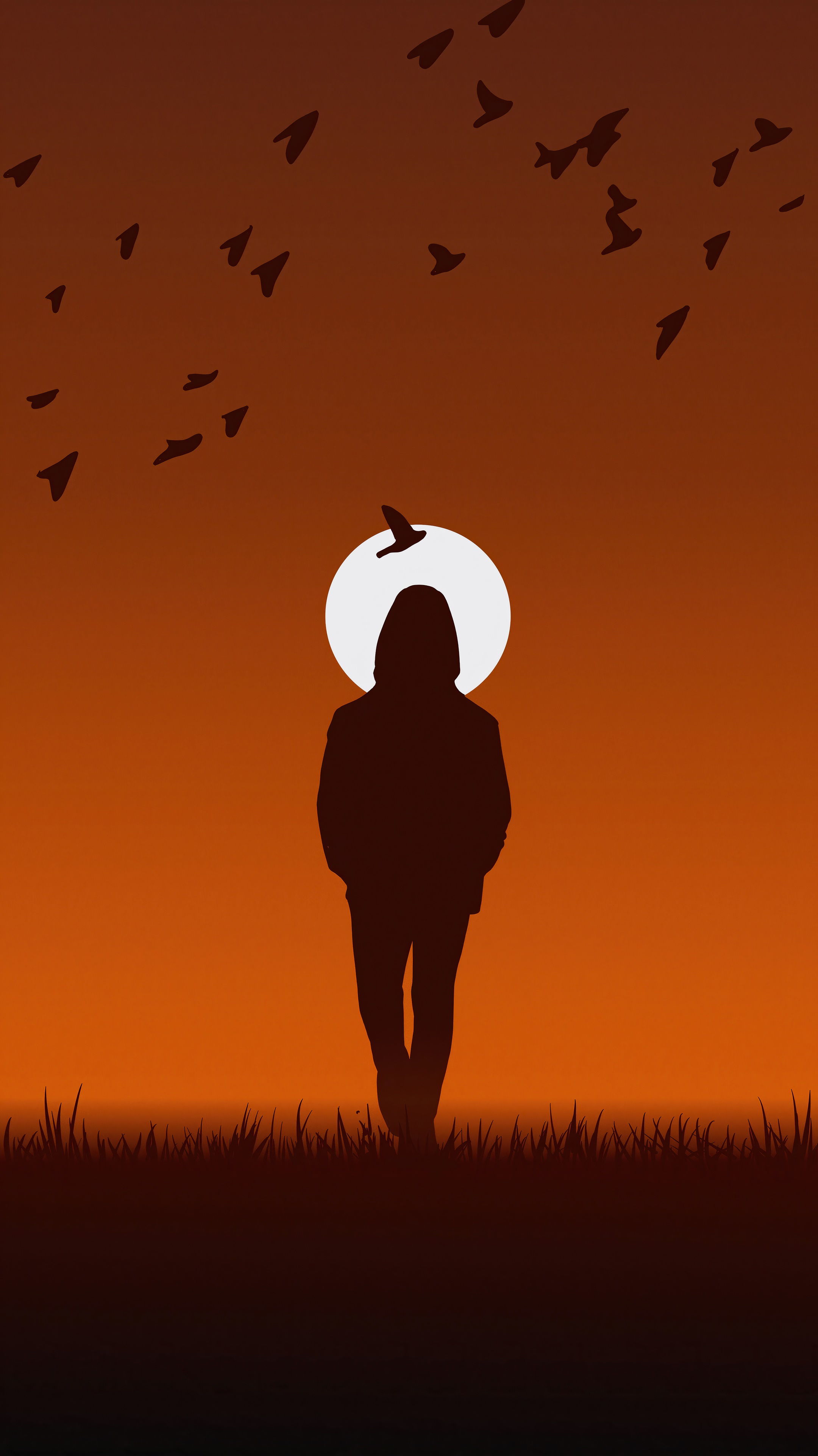 Silhouette of a person with a hoodie against a sunset and birds HD Phone Wallpaper