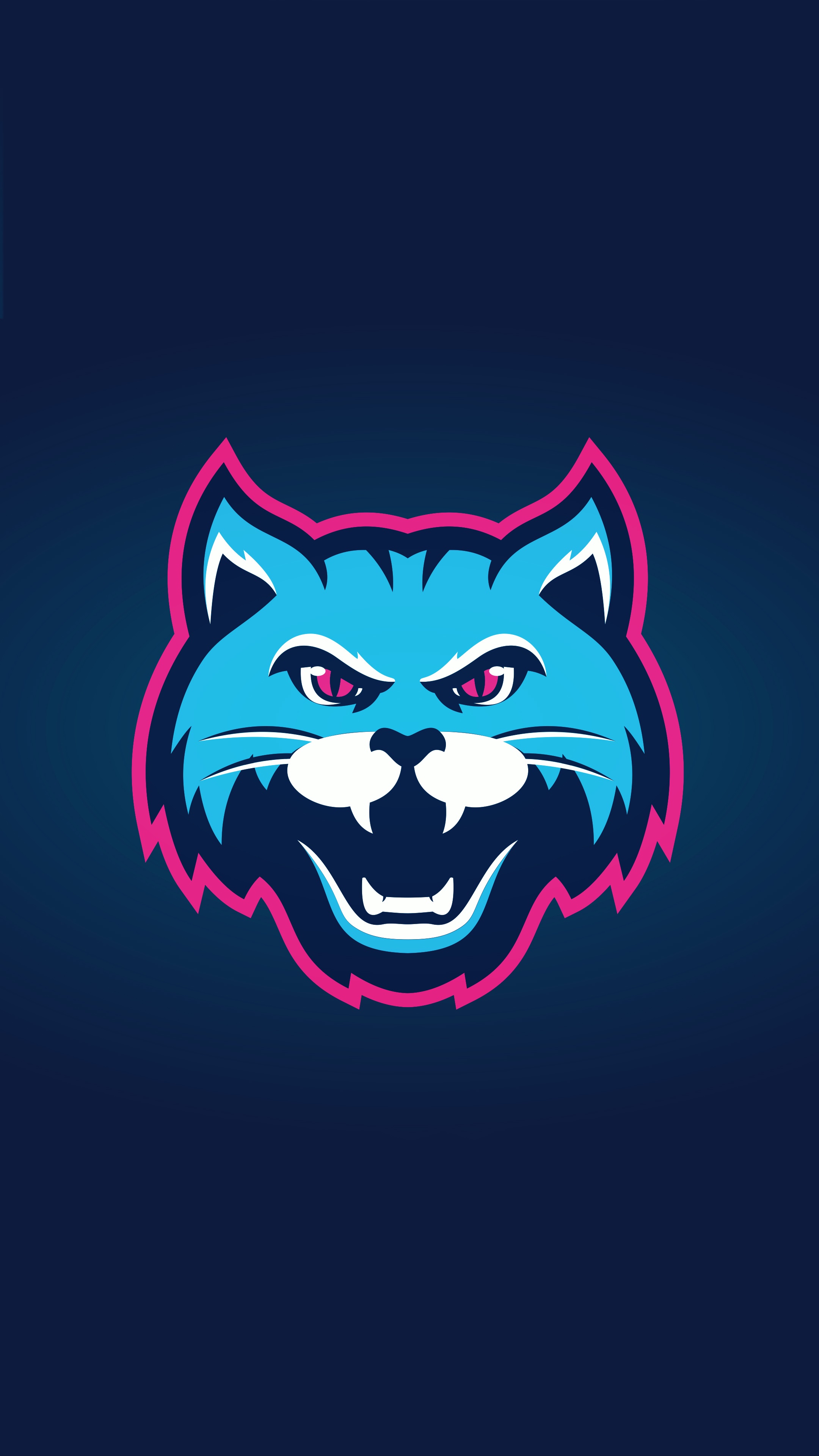 Blue cat logo with pink outline HD Phone Wallpaper