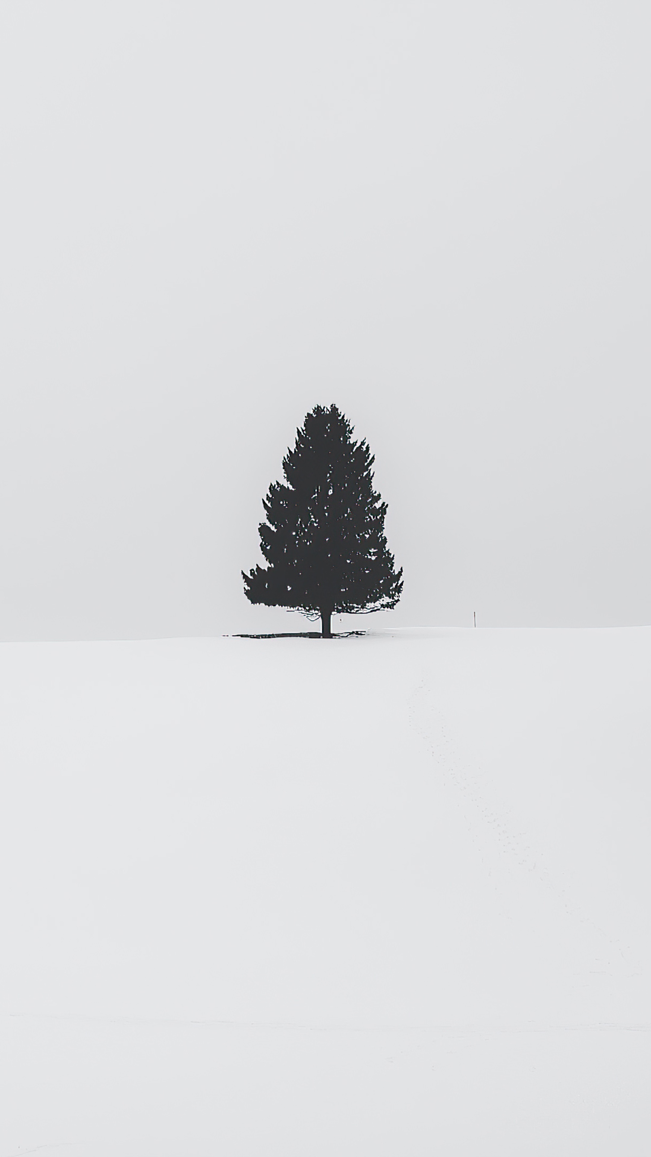A lone tree in a snowy field HD Phone Wallpaper