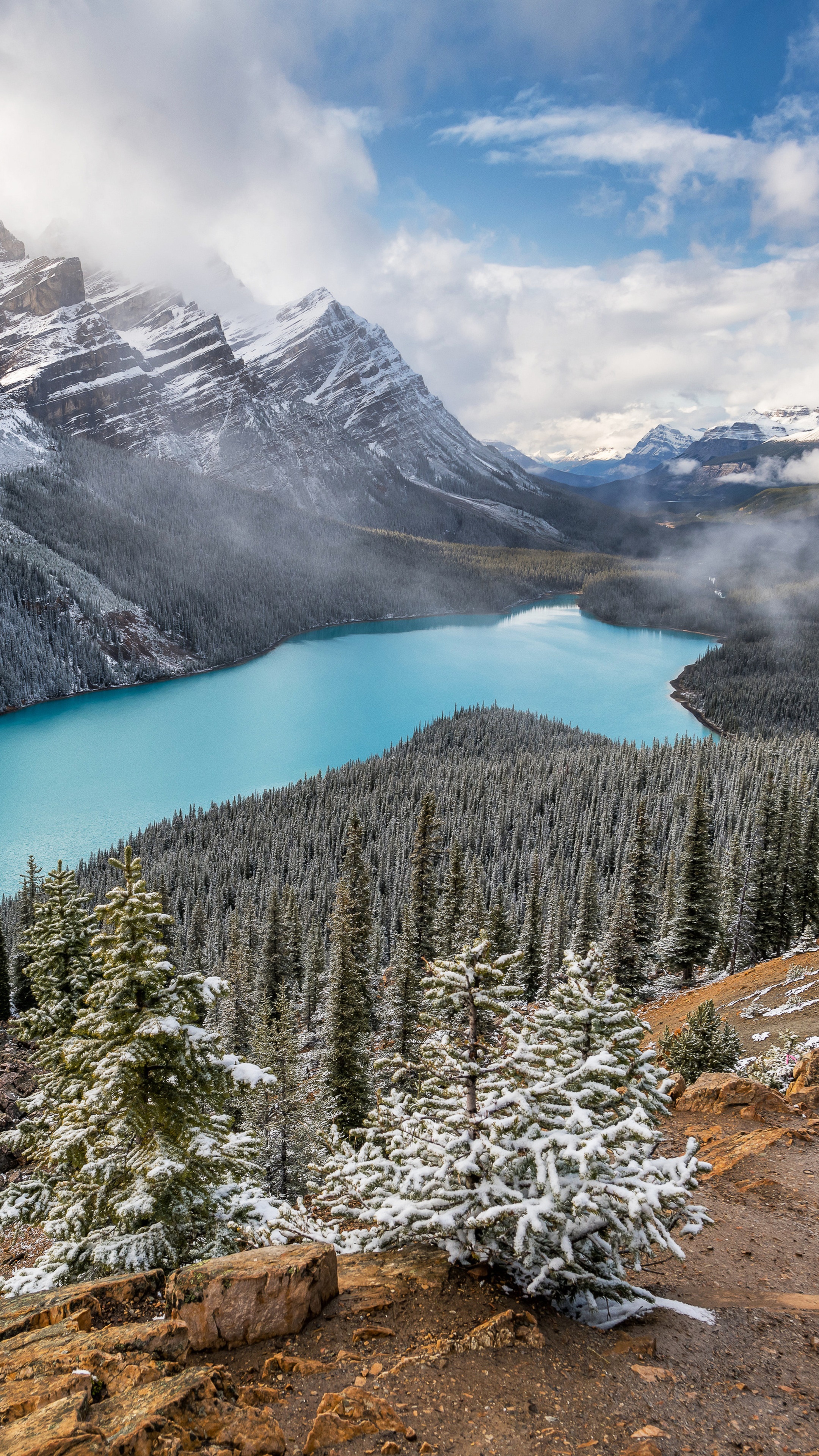 Turquoise Lake Surrounded by Snowy Mountains and Forest HD Phone Wallpaper